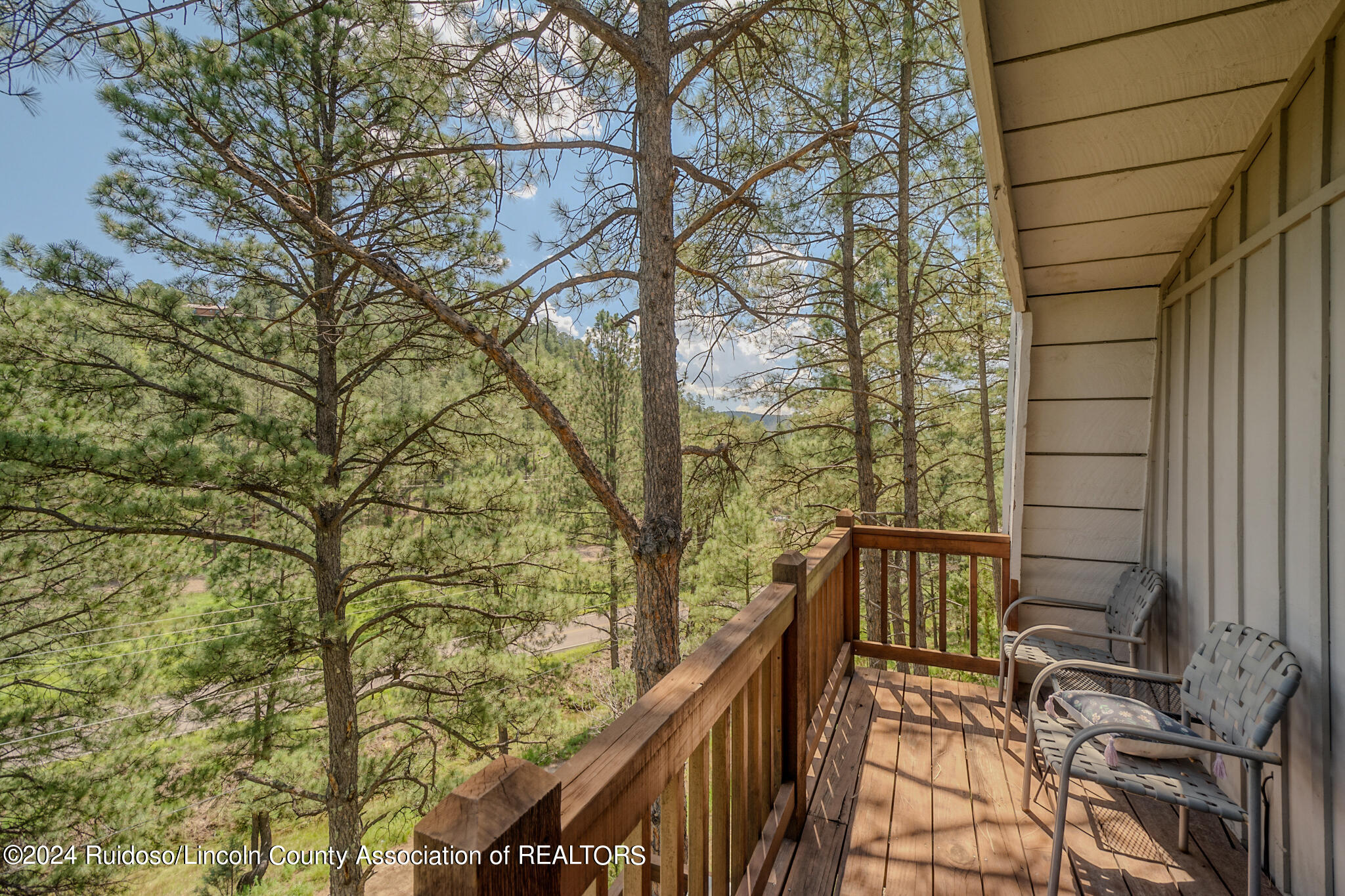 318 La Luz Lane, Ruidoso, New Mexico image 22