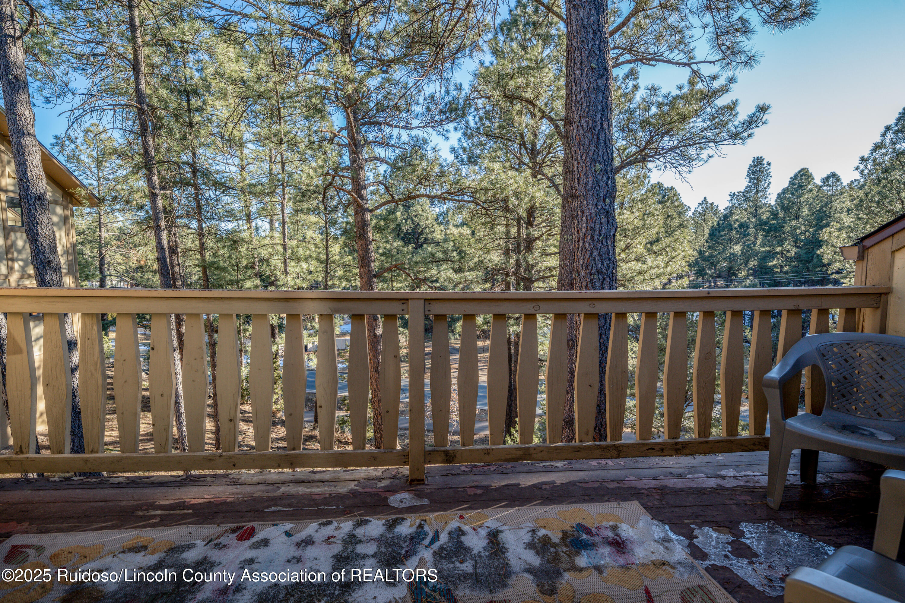 216 Metz Drive #221, Ruidoso, New Mexico image 8