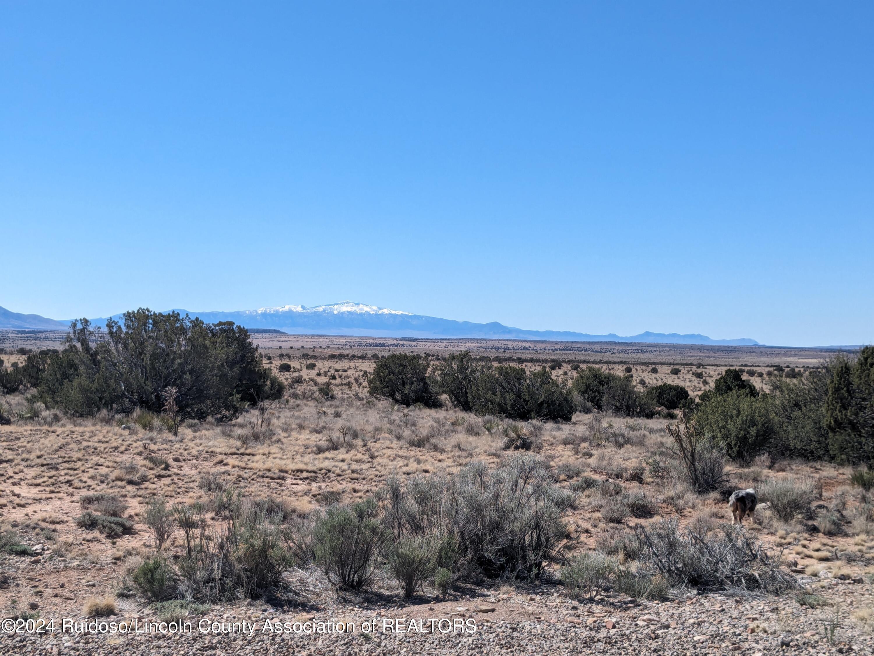 114 Twin Calf Lane, Ancho, New Mexico image 18