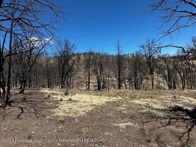 113 Monty Lane, Ruidoso, New Mexico image 15