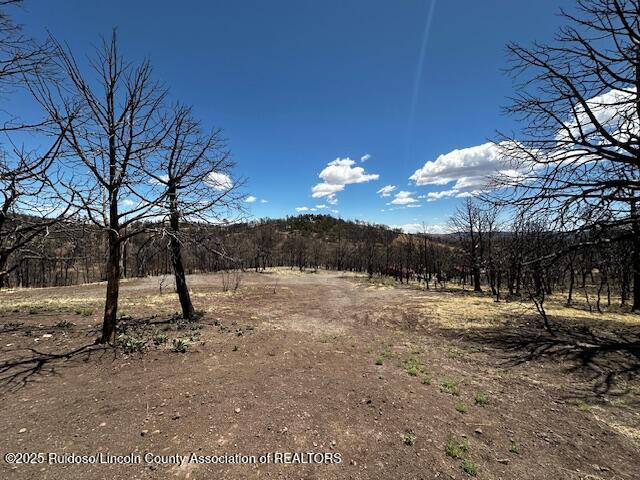 113 Monty Lane, Ruidoso, New Mexico image 12