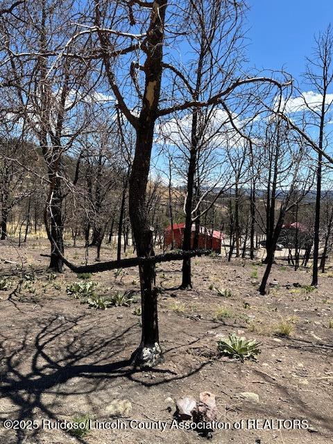 113 Monty Lane, Ruidoso, New Mexico image 6