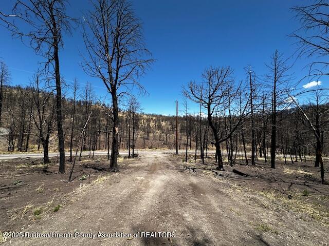113 Monty Lane, Ruidoso, New Mexico image 3