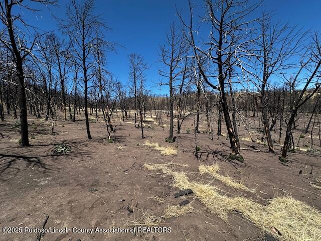 113 Monty Lane, Ruidoso, New Mexico image 11
