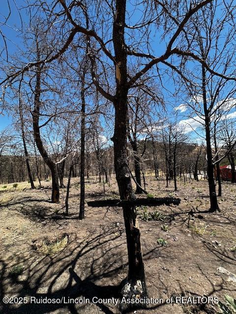 113 Monty Lane, Ruidoso, New Mexico image 19