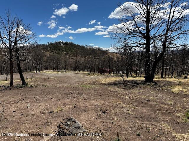 113 Monty Lane, Ruidoso, New Mexico image 17
