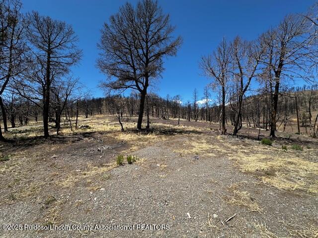 113 Monty Lane, Ruidoso, New Mexico image 5