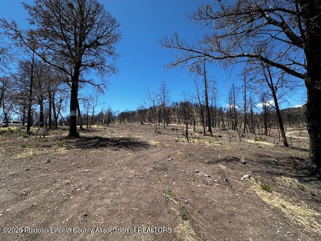 113 Monty Lane, Ruidoso, New Mexico image 4