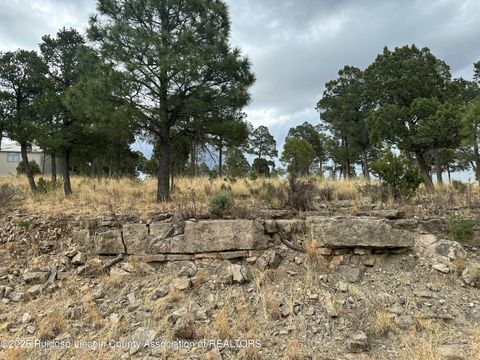 Vacant Land For Sale - 100 Avalon Court<br/> Lincoln County, Ruidoso, NM 88345