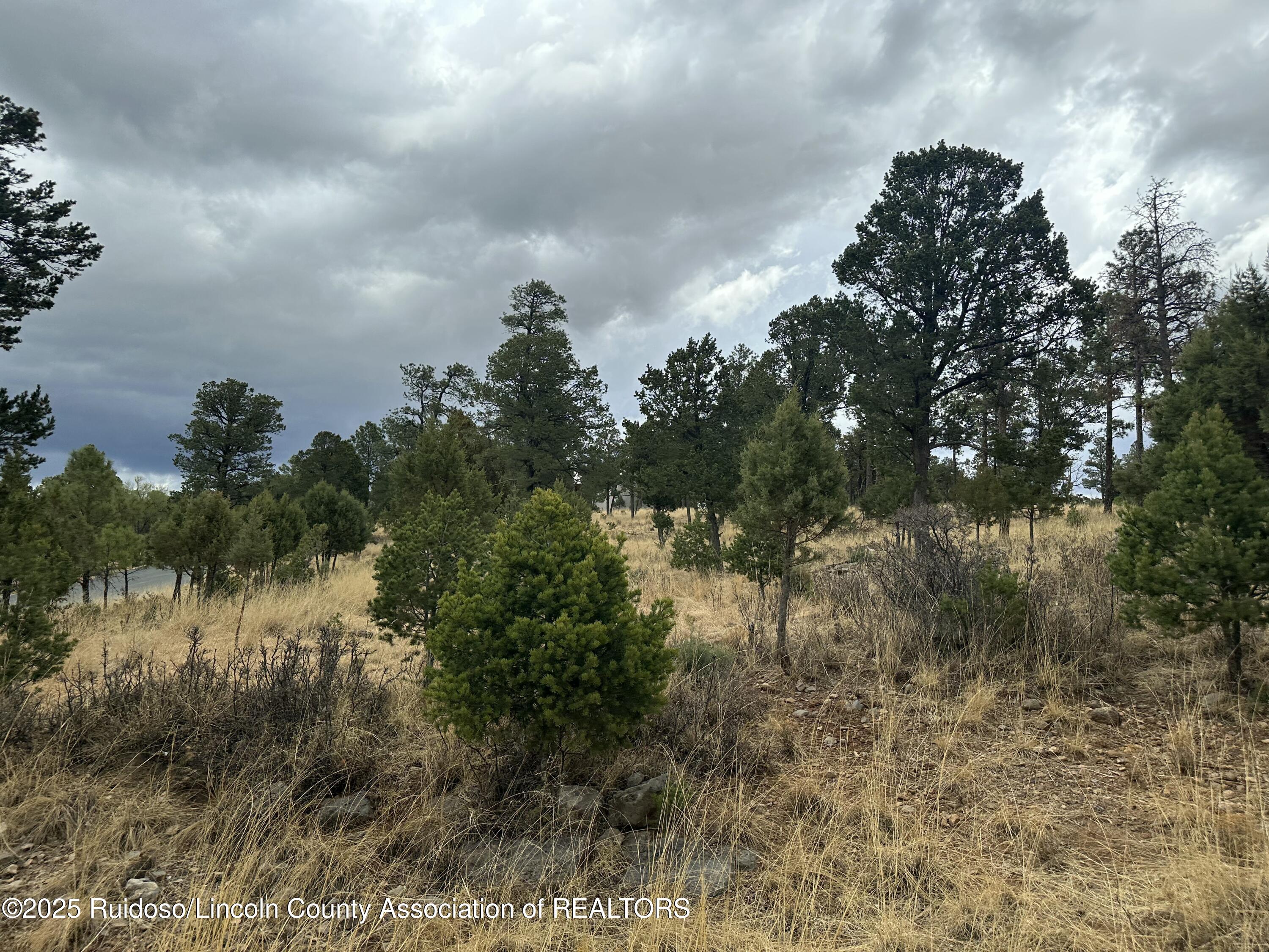 100 Avalon Court, Ruidoso, New Mexico image 6