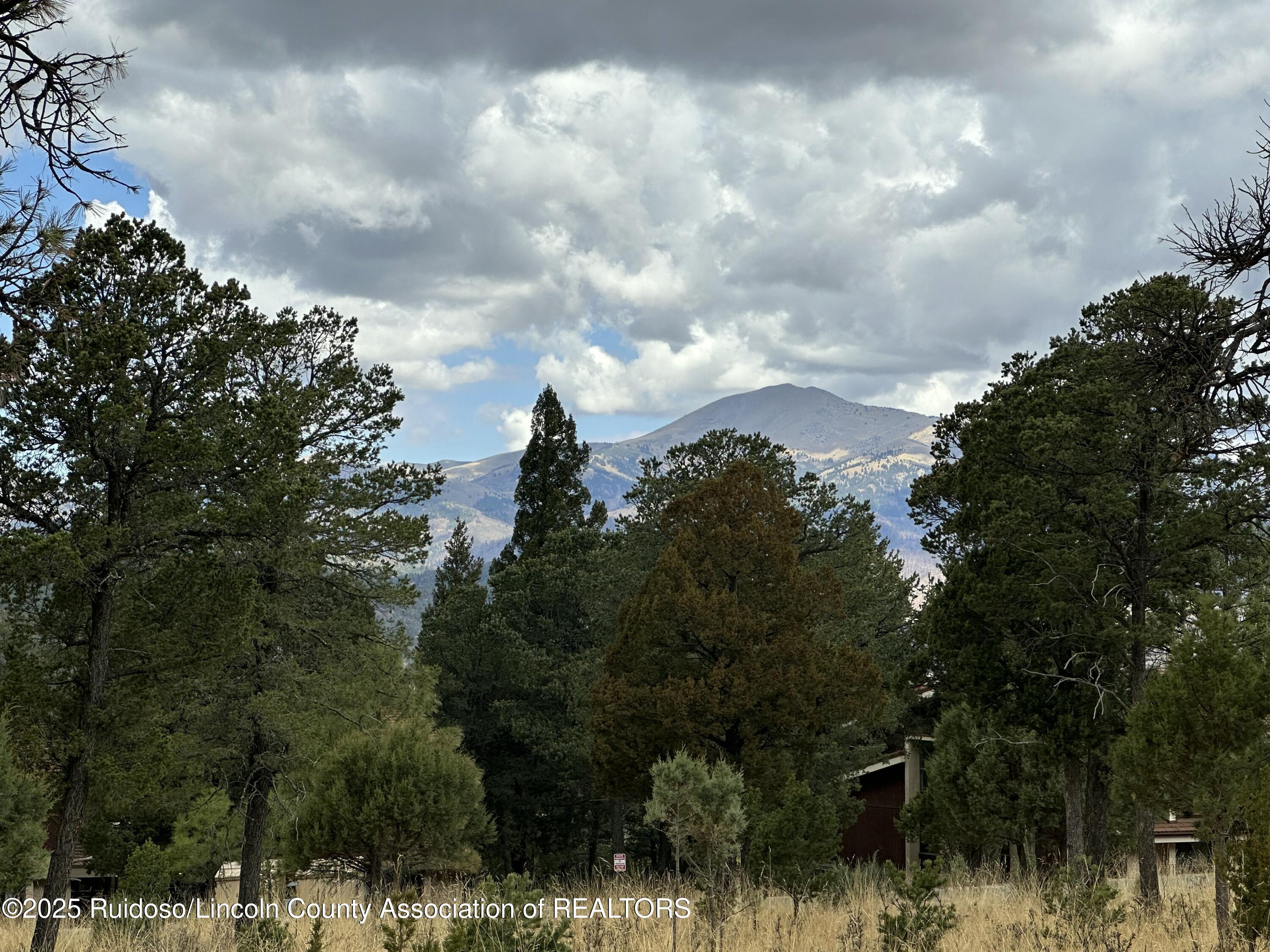 100 Avalon Court, Ruidoso, New Mexico image 10