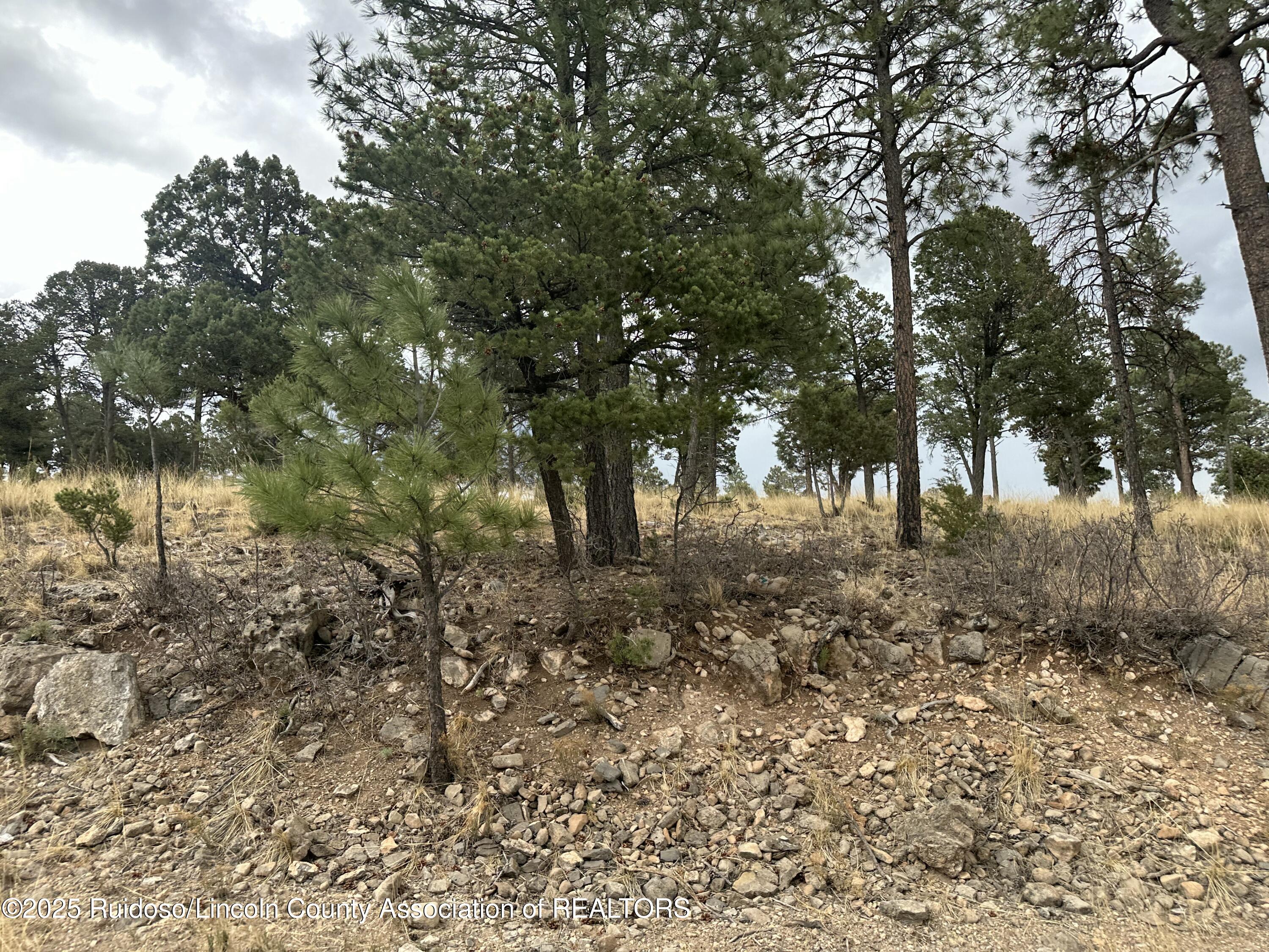 100 Avalon Court, Ruidoso, New Mexico image 4