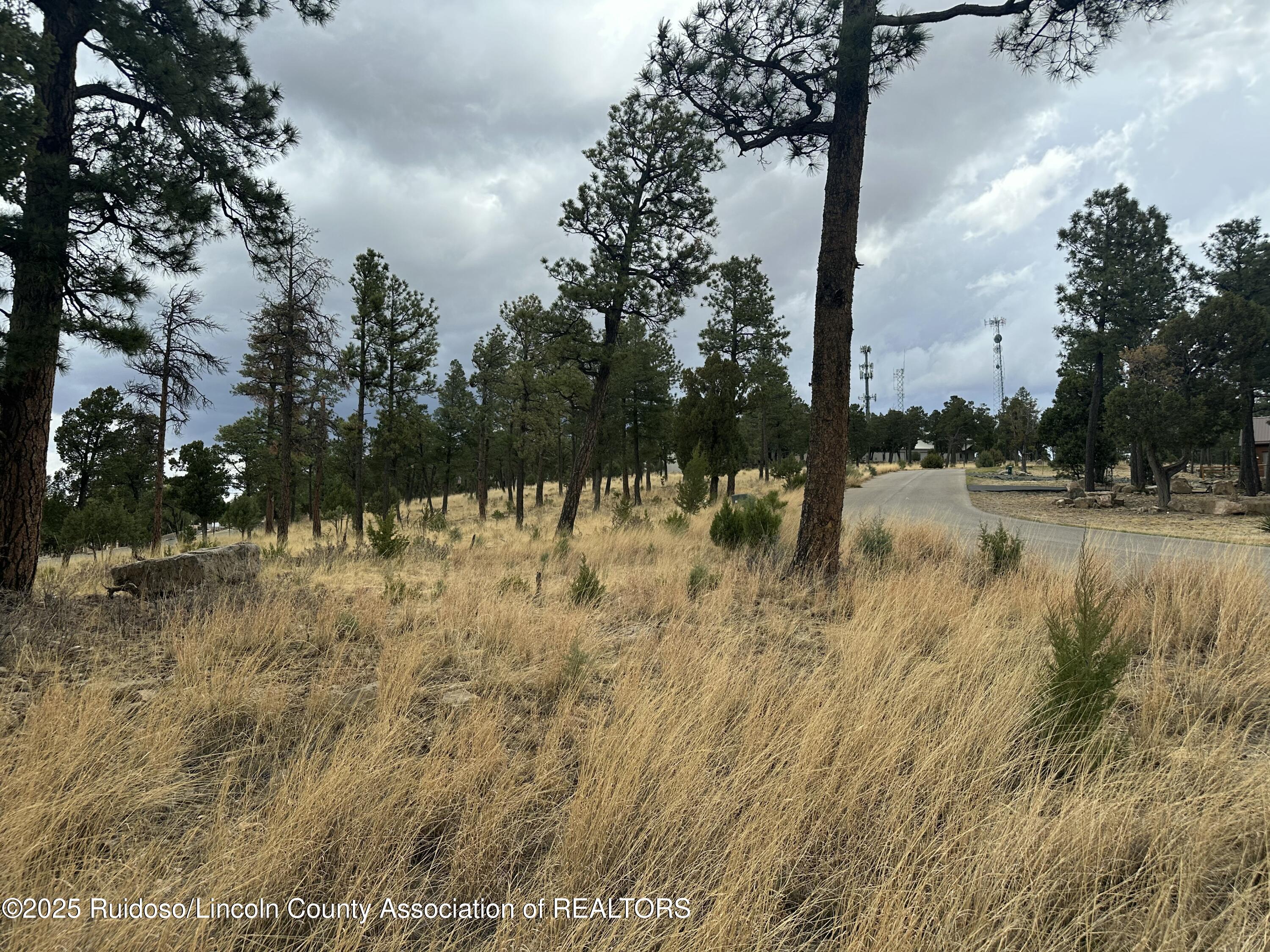 100 Avalon Court, Ruidoso, New Mexico image 8