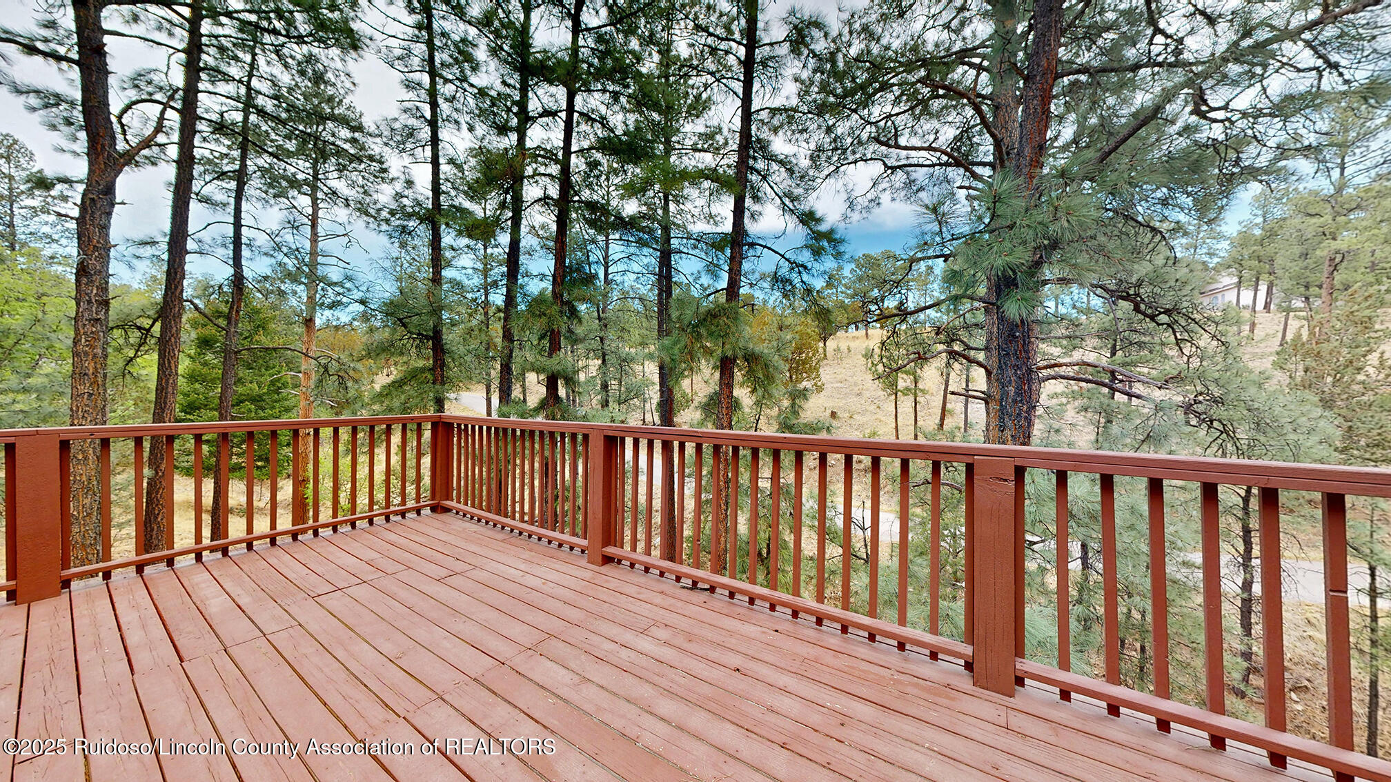 115 Twin Tree Loop, Alto, New Mexico image 26
