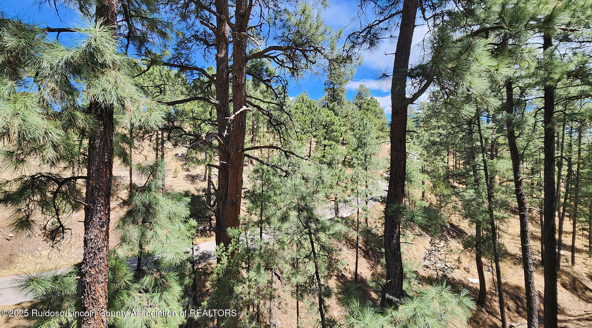 115 Twin Tree Loop, Alto, New Mexico image 24