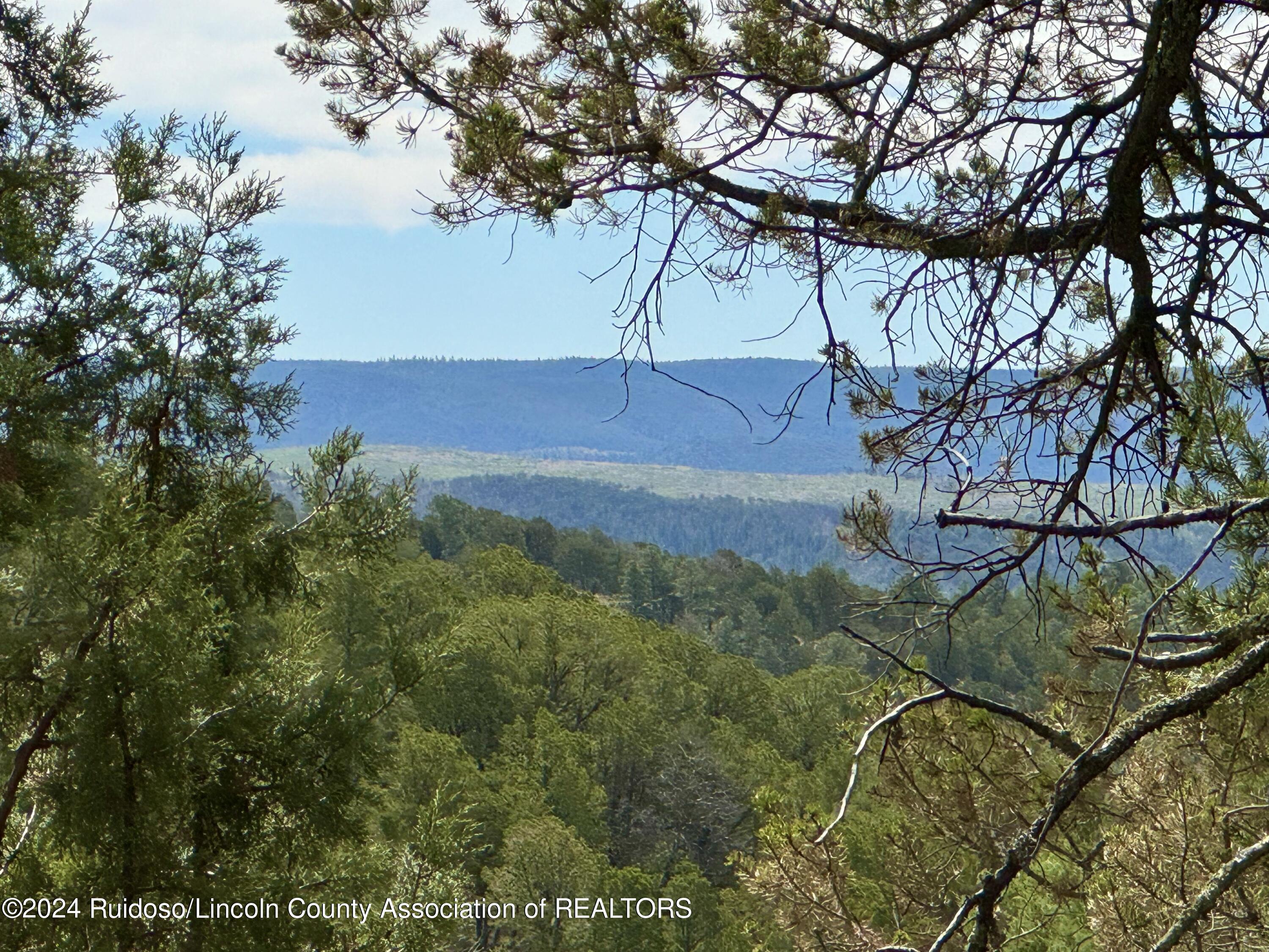 103 Mount Hood, Ruidoso, New Mexico image 13