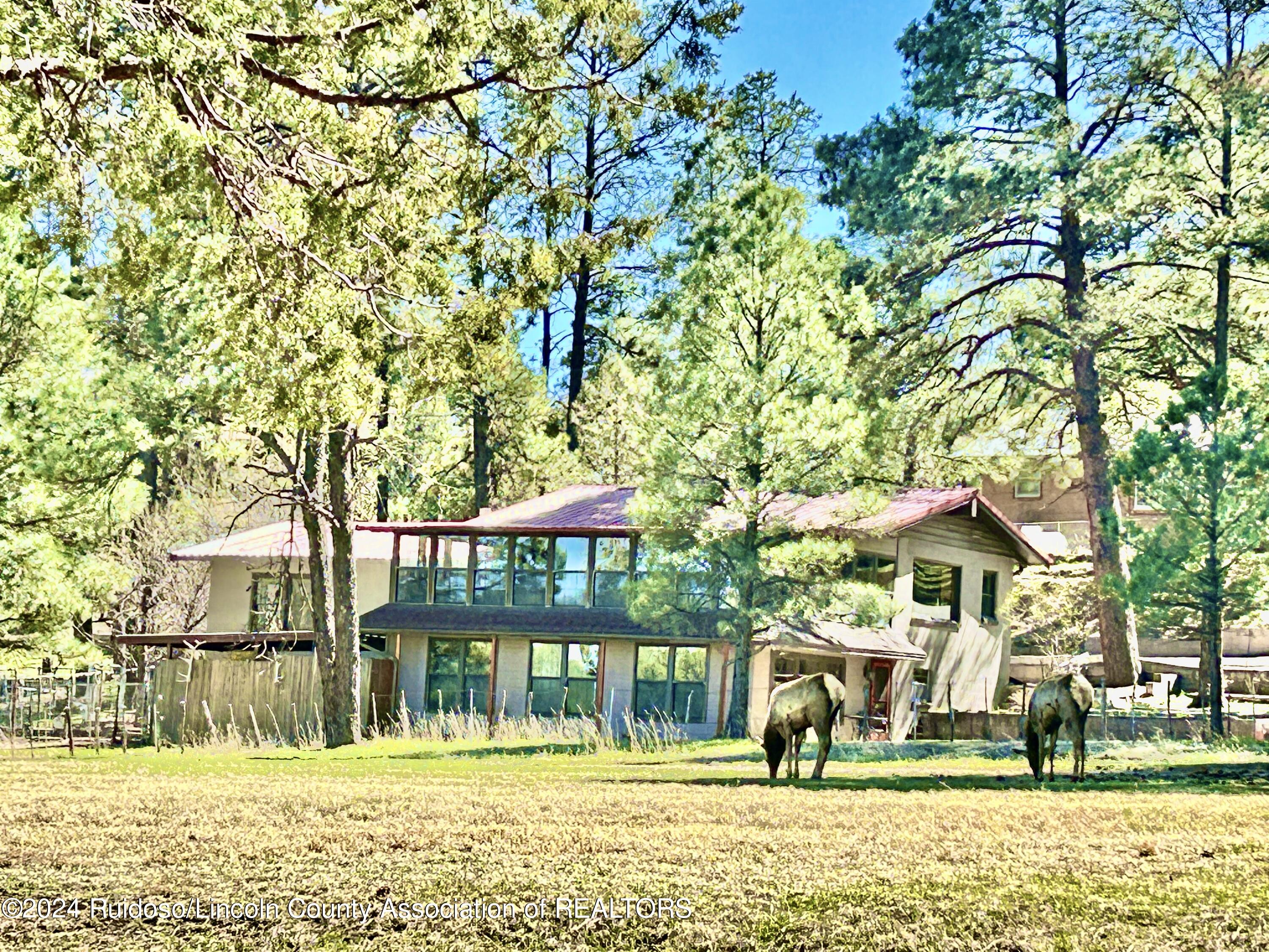 126 Course View Drive, Ruidoso, New Mexico image 37