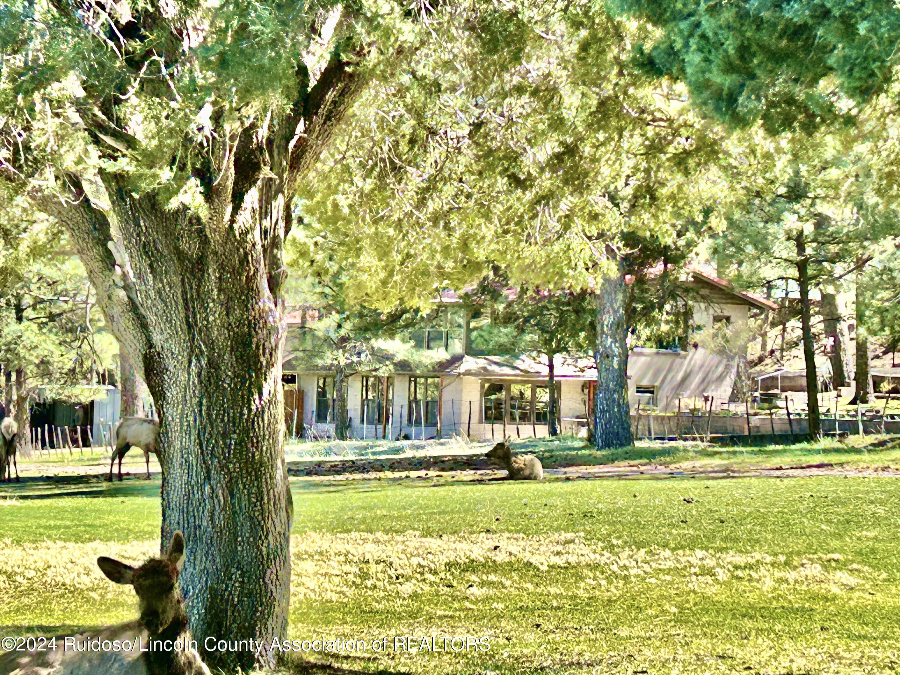 126 Course View Drive, Ruidoso, New Mexico image 38