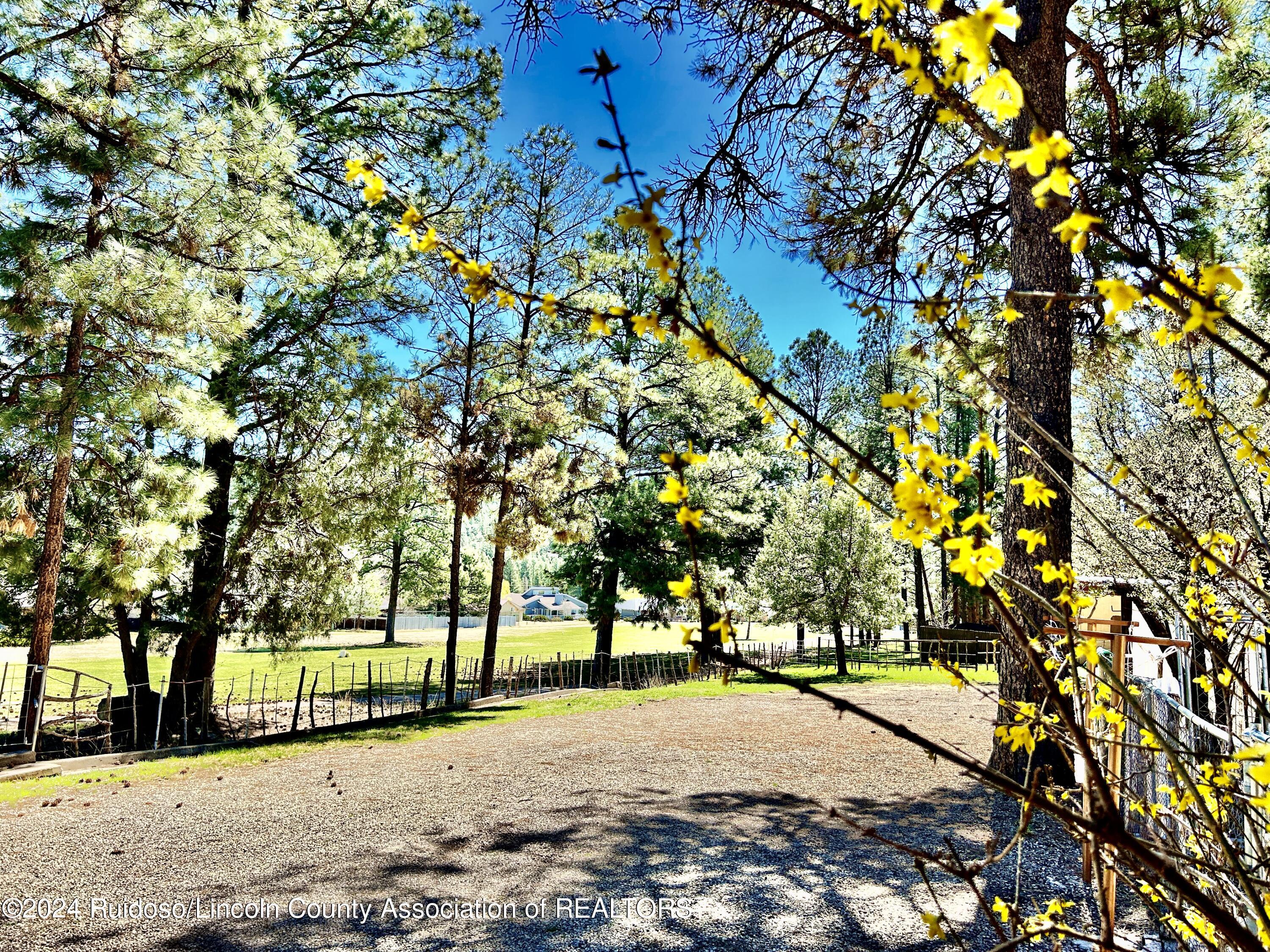 126 Course View Drive, Ruidoso, New Mexico image 9