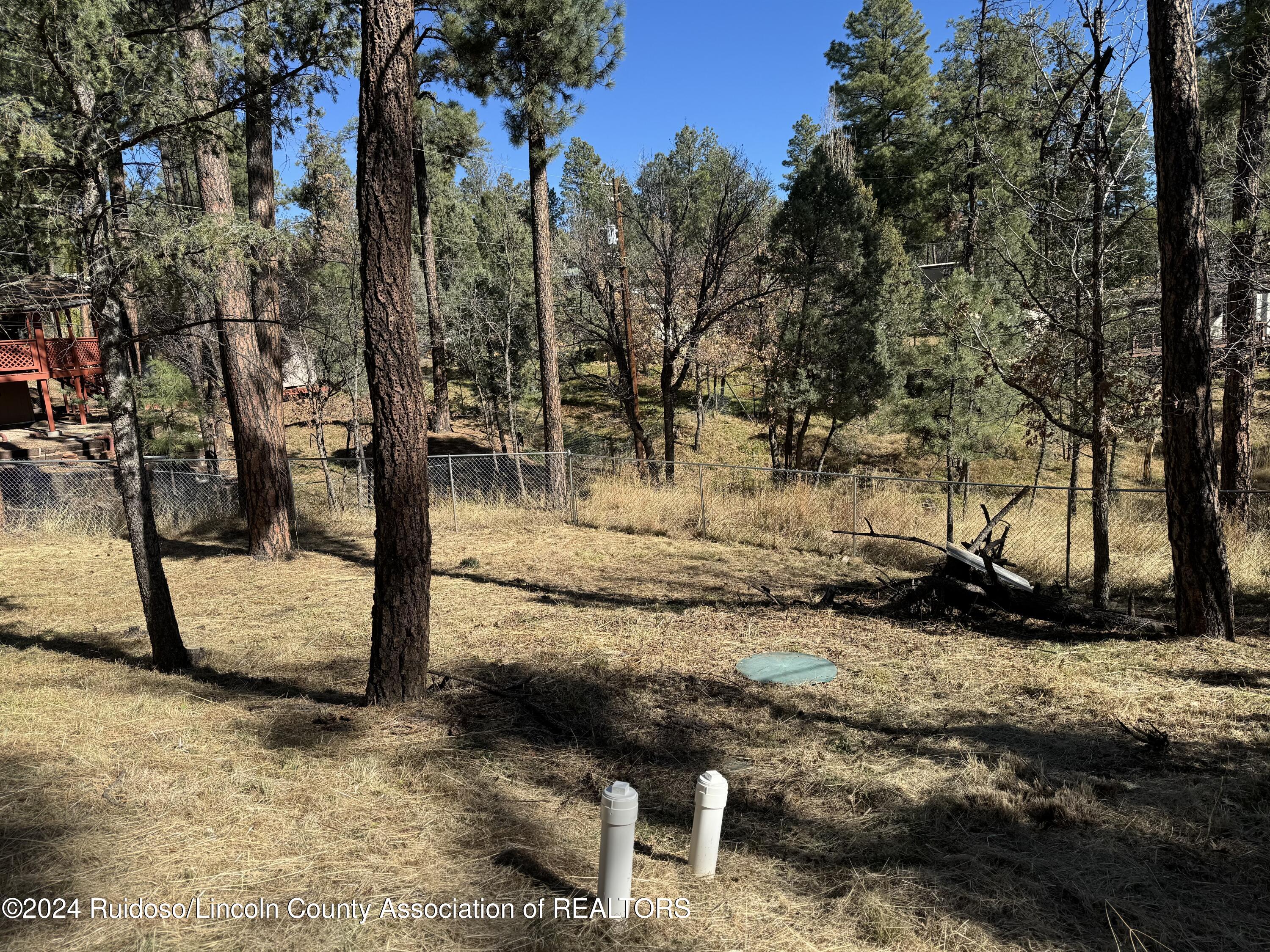 107 Palo Alto Drive, Ruidoso, New Mexico image 15