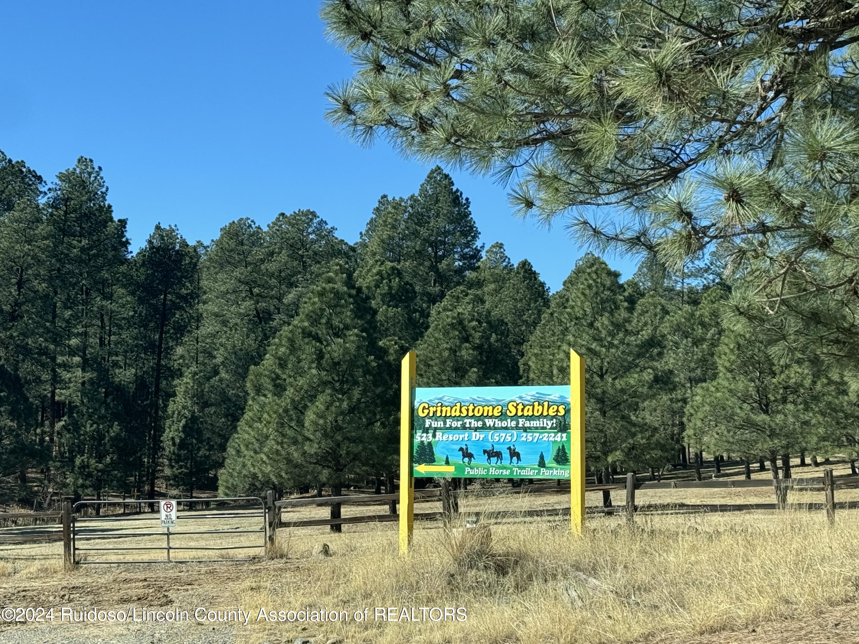 107 Palo Alto Drive, Ruidoso, New Mexico image 4