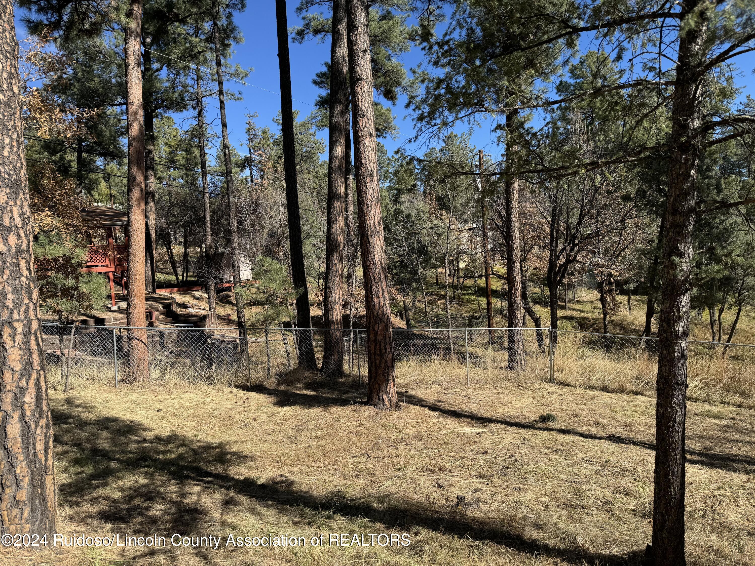 107 Palo Alto Drive, Ruidoso, New Mexico image 13