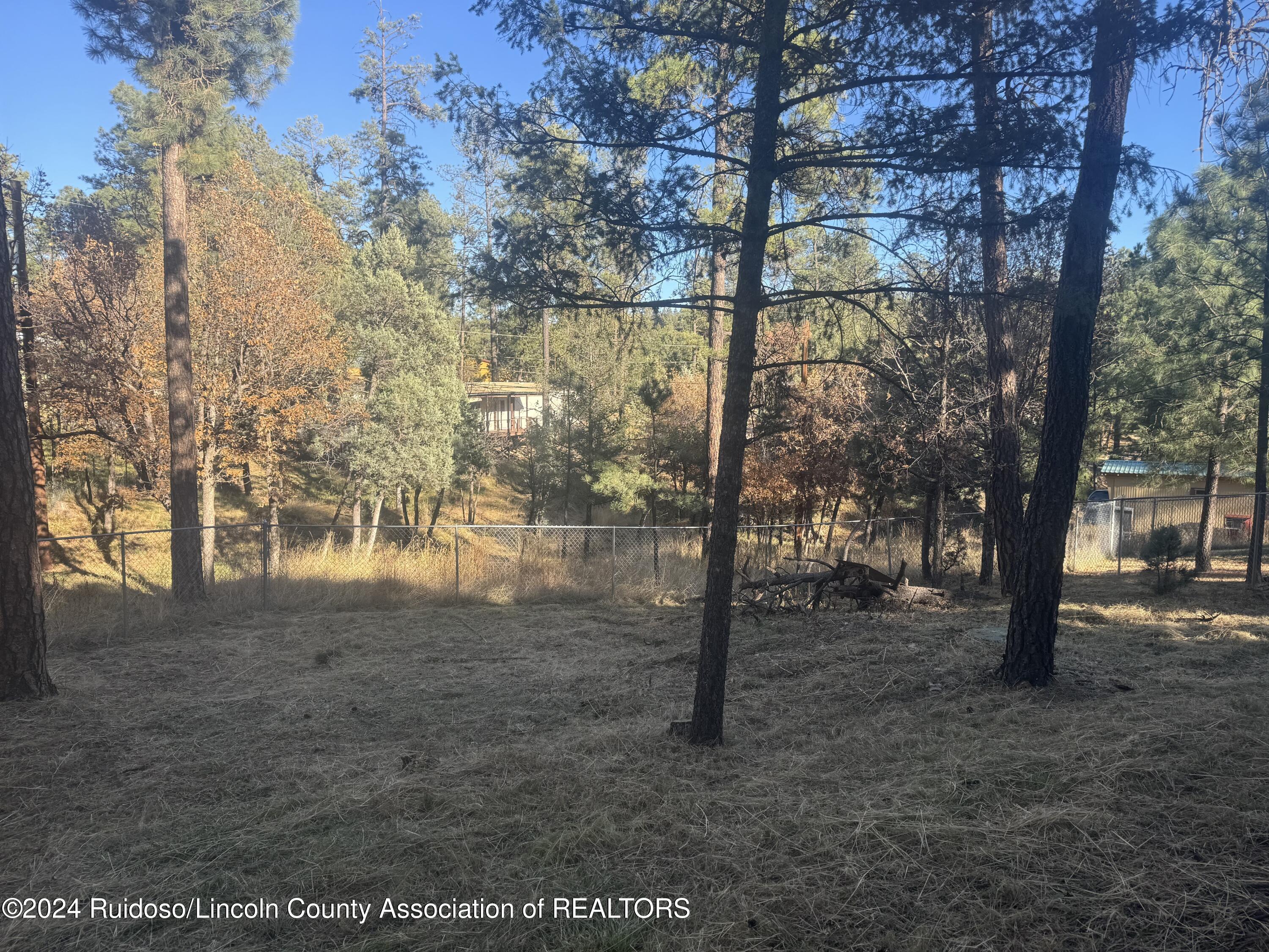 107 Palo Alto Drive, Ruidoso, New Mexico image 11