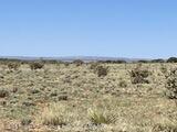 262 Fenceline, Ancho, New Mexico image 1