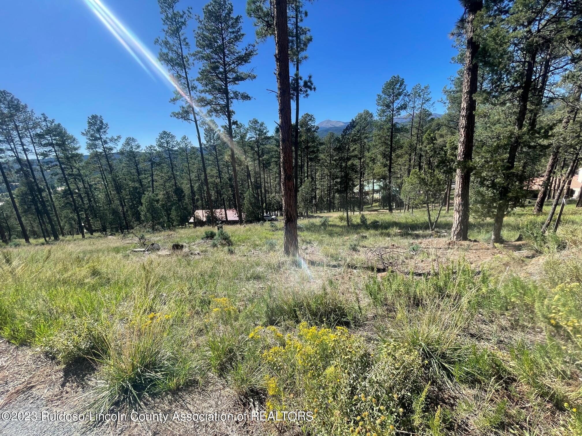 111 Poco Loco Drive, Ruidoso, New Mexico image 17