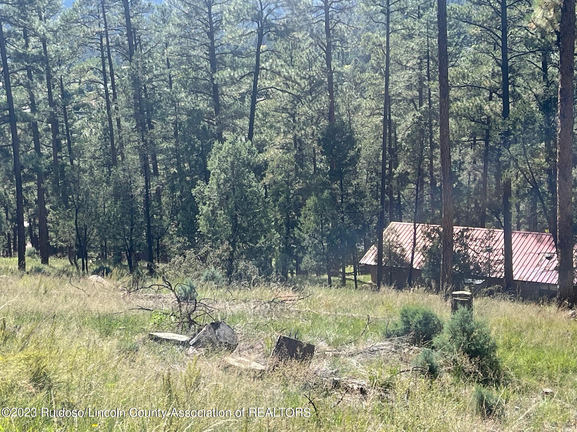 111 Poco Loco Drive, Ruidoso, New Mexico image 5