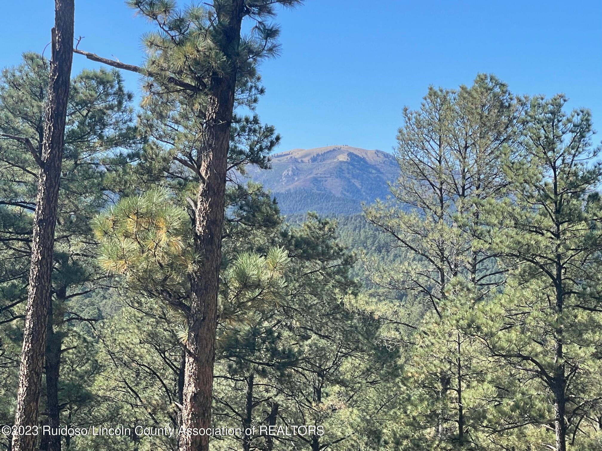 111 Poco Loco Drive, Ruidoso, New Mexico image 9