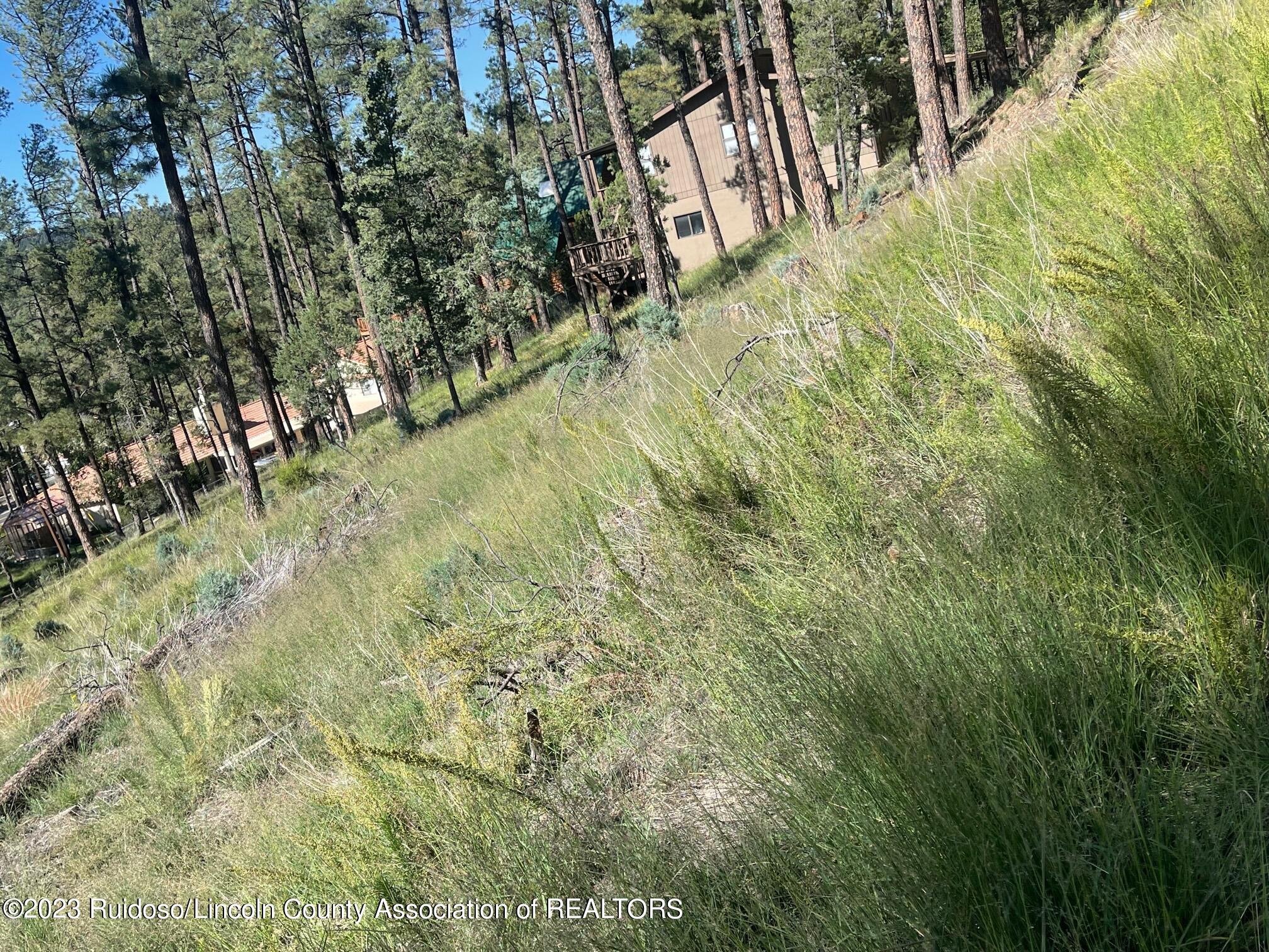 111 Poco Loco Drive, Ruidoso, New Mexico image 15