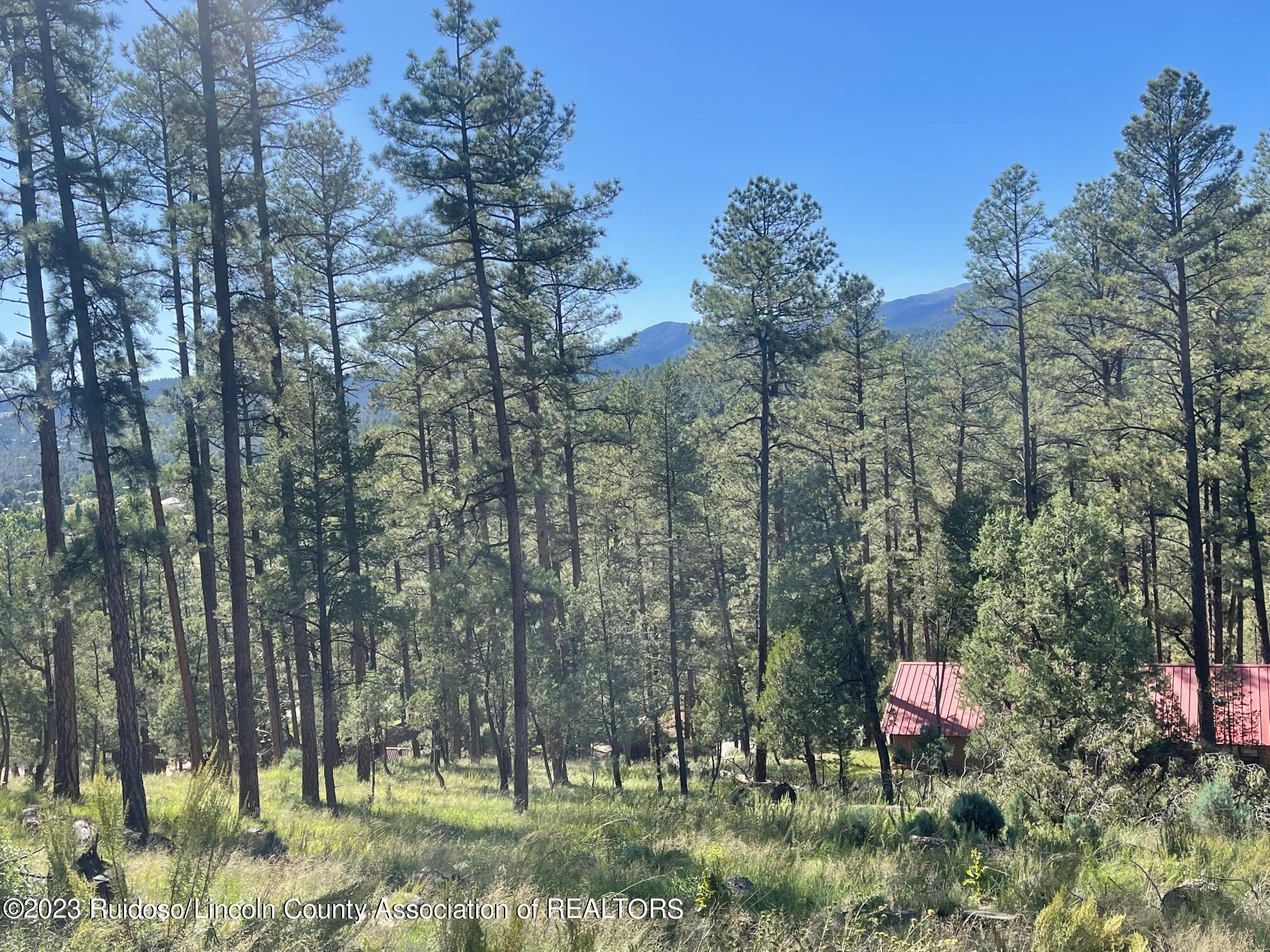 111 Poco Loco Drive, Ruidoso, New Mexico image 13