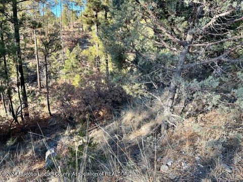 Vacant Land For Sale - L15-16 Miles Loop<br/> Timberon, NM 88350
