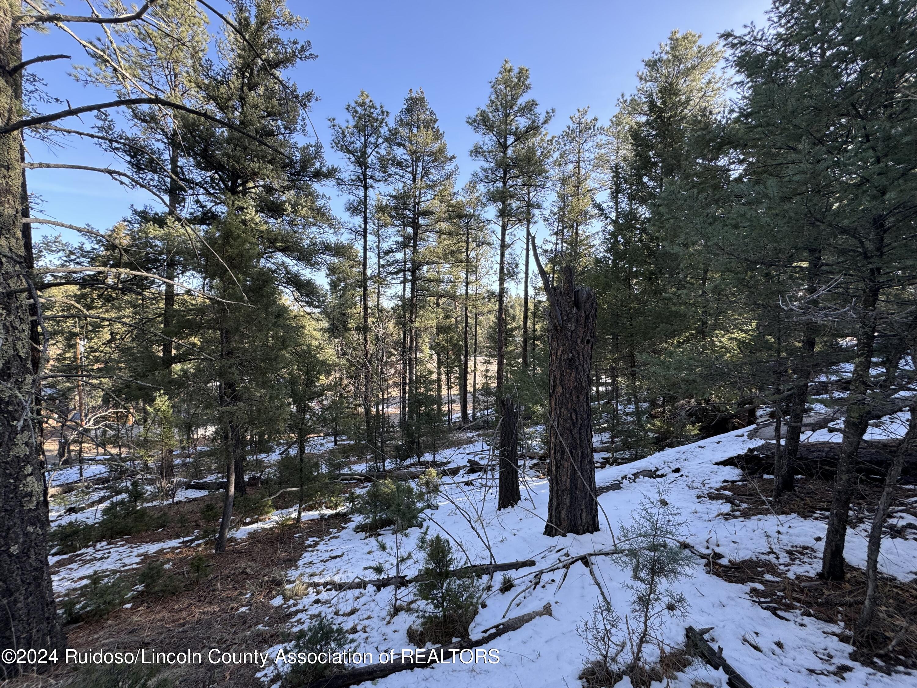 Nm-48, Ruidoso, New Mexico image 20