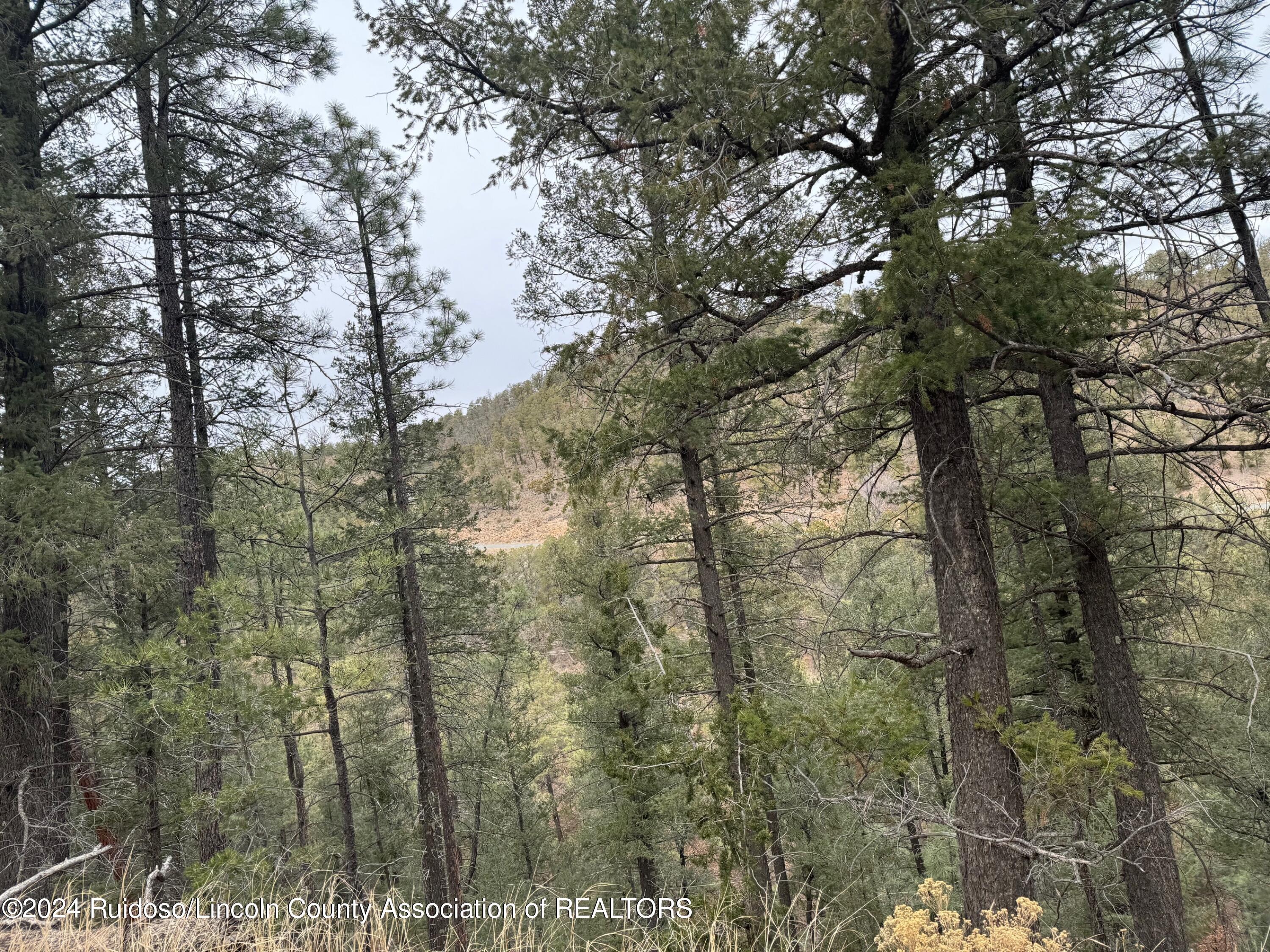 119 Worcester Drive, Ruidoso, New Mexico image 4