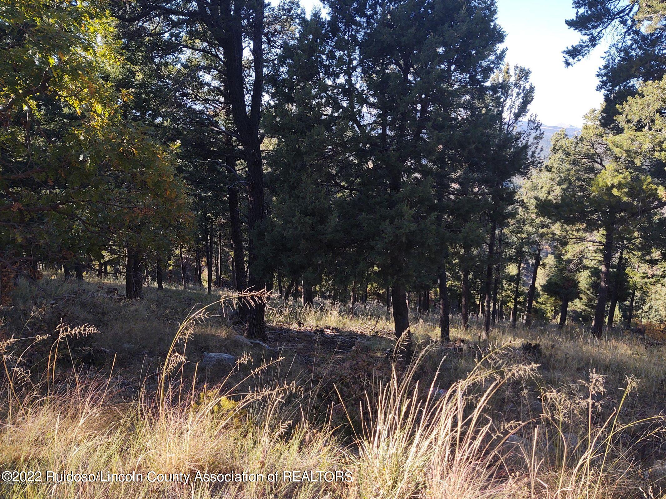 264 Crown Drive, Ruidoso, New Mexico image 1