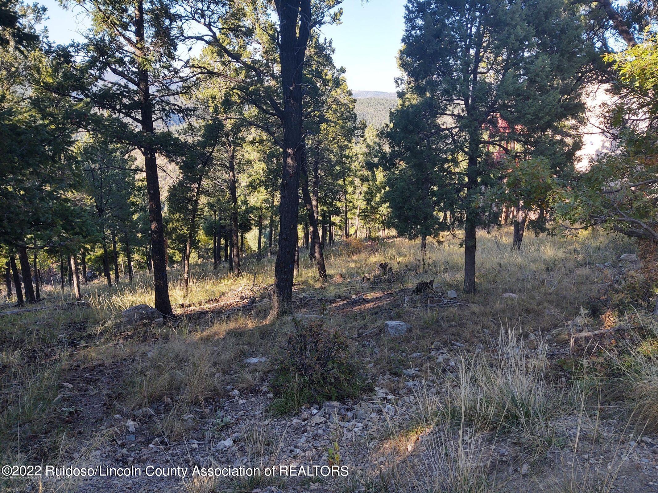 264 Crown Drive, Ruidoso, New Mexico image 4