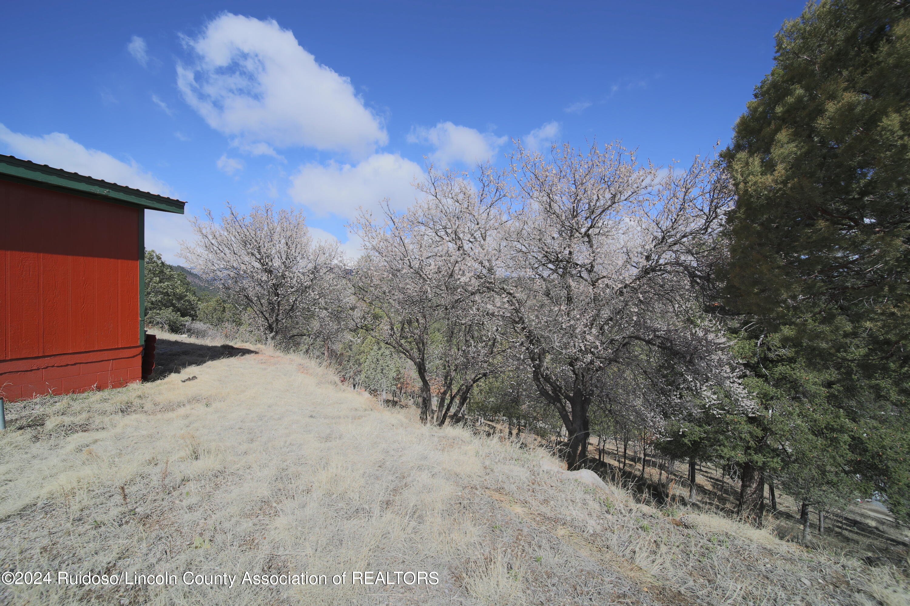 113 Pine Lodge Drive, Ruidoso, New Mexico image 14