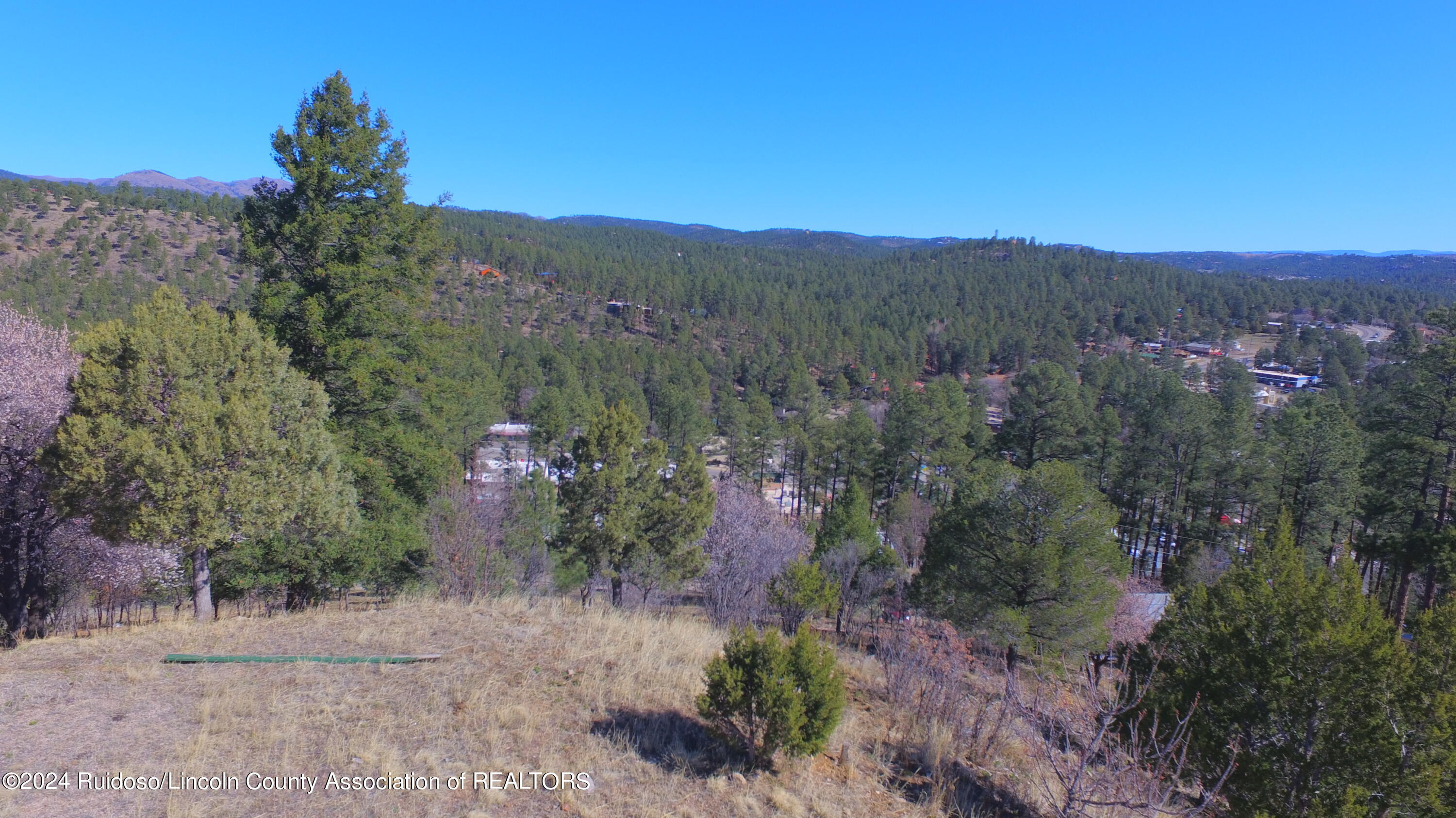 113 Pine Lodge Drive, Ruidoso, New Mexico image 47