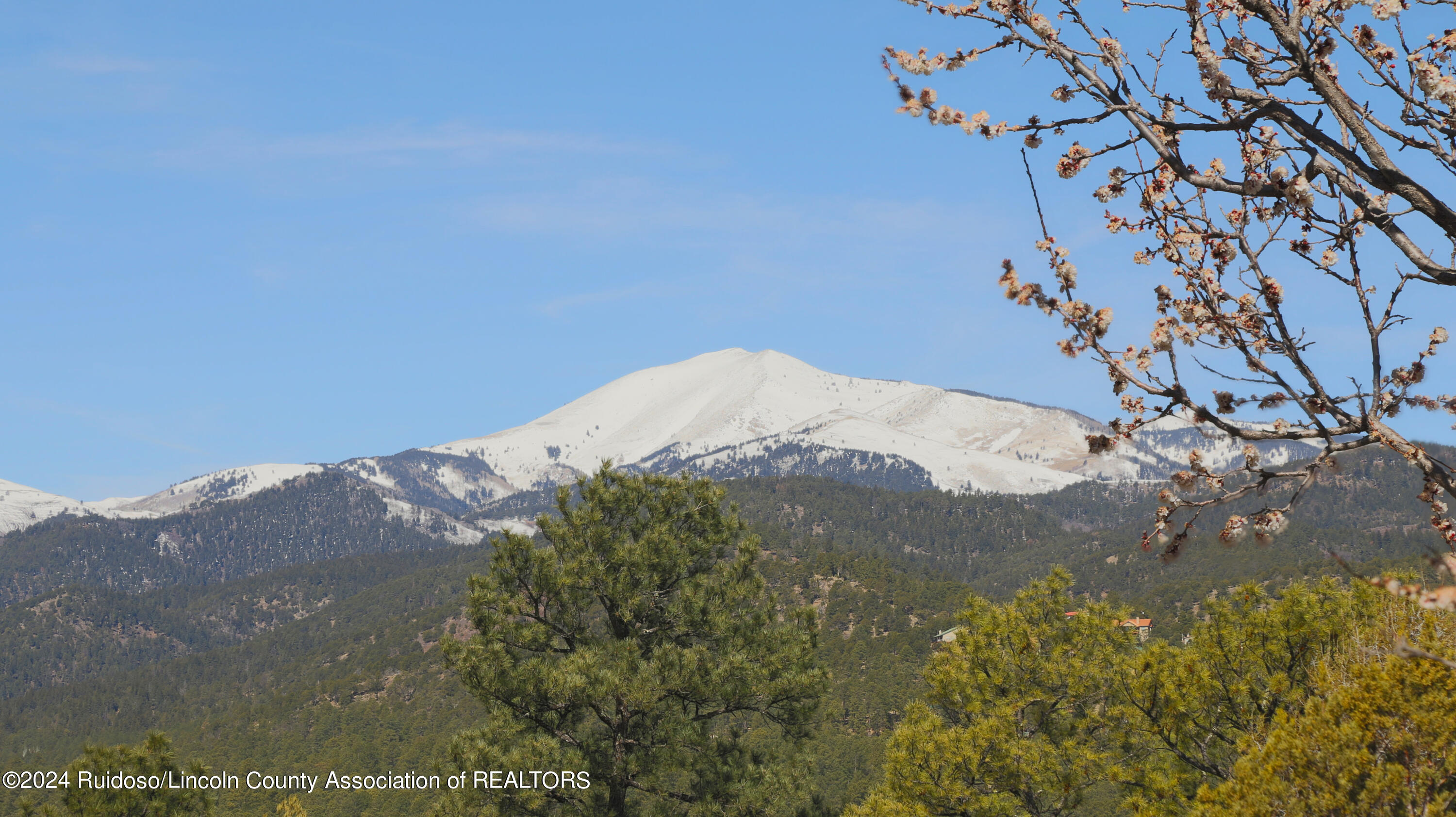 113 Pine Lodge Drive, Ruidoso, New Mexico image 22