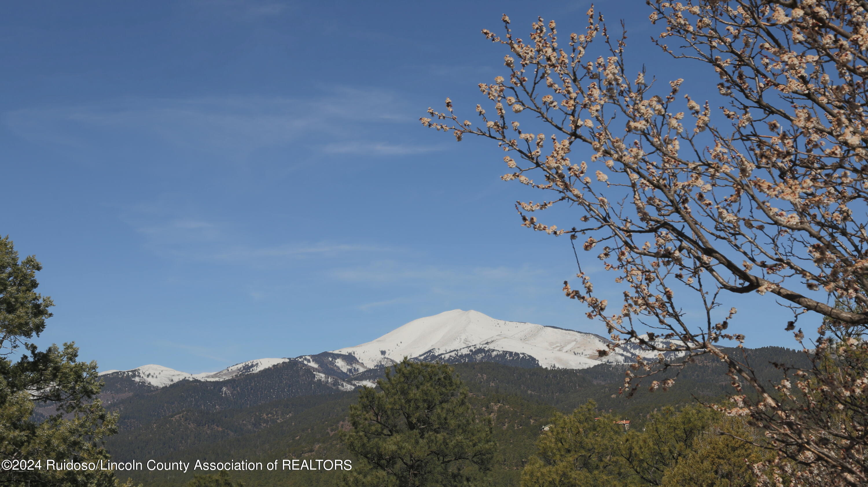 113 Pine Lodge Drive, Ruidoso, New Mexico image 24