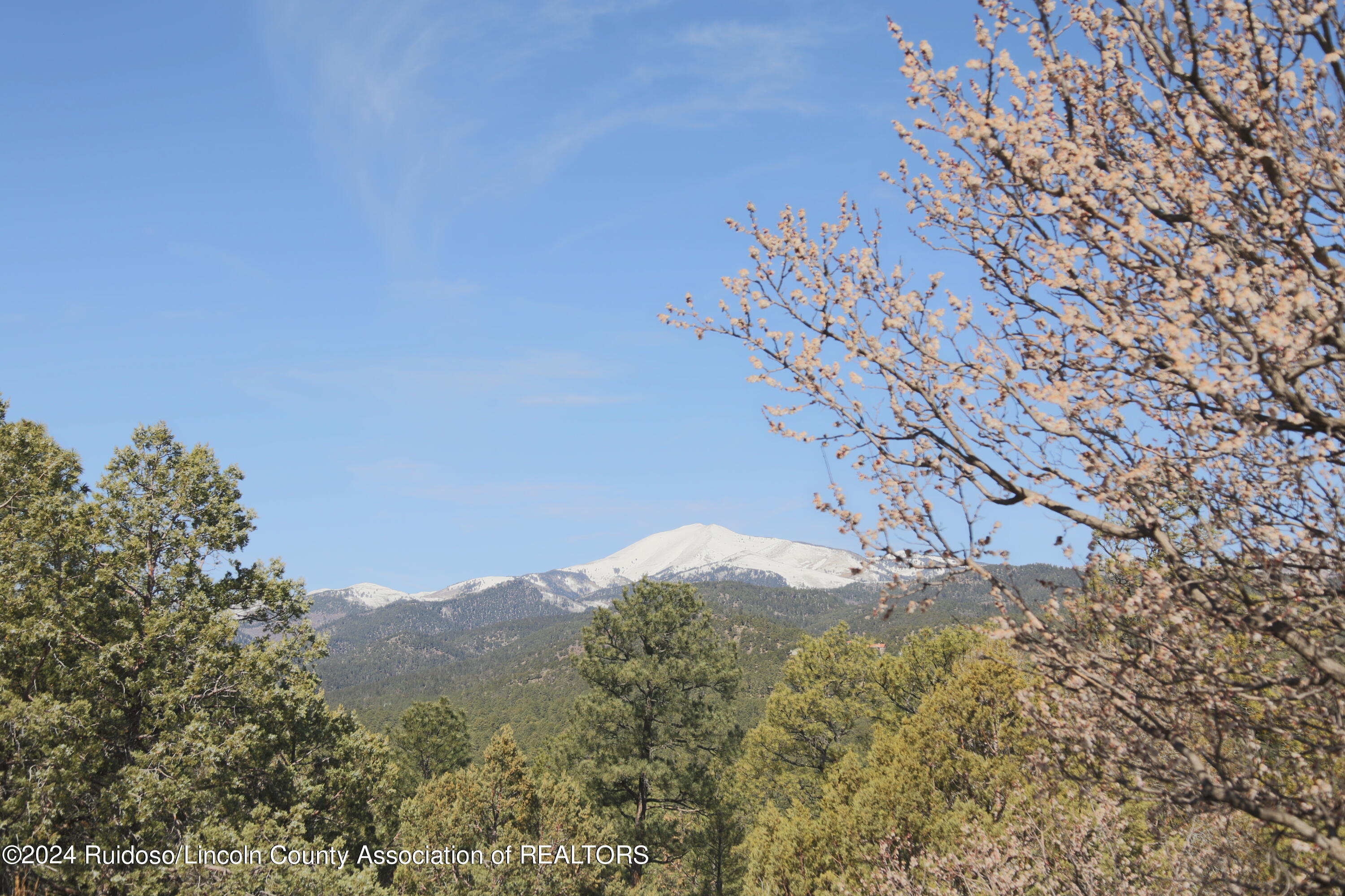 113 Pine Lodge Drive, Ruidoso, New Mexico image 26