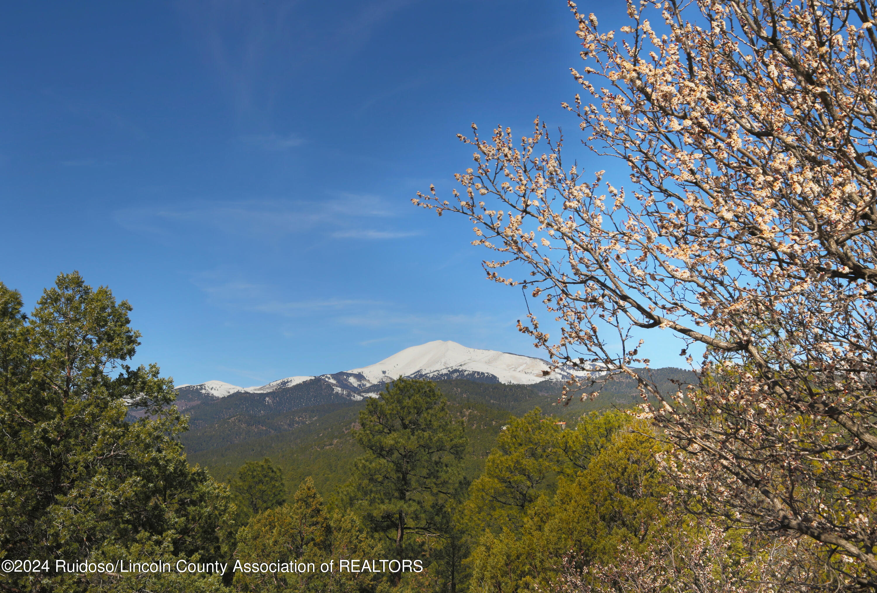 113 Pine Lodge Drive, Ruidoso, New Mexico image 25