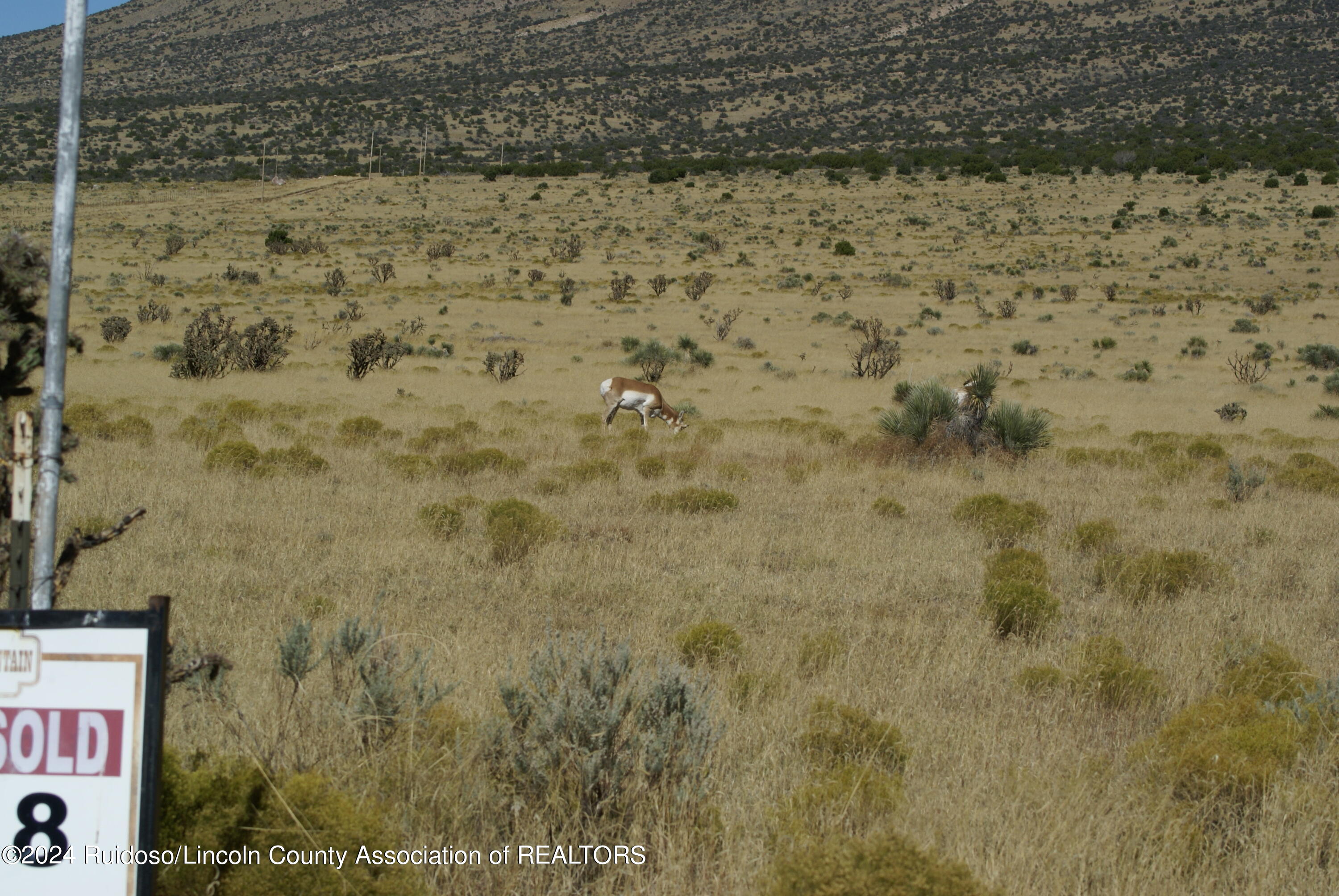 L8 Via De Benado, Carrizozo, New Mexico image 30