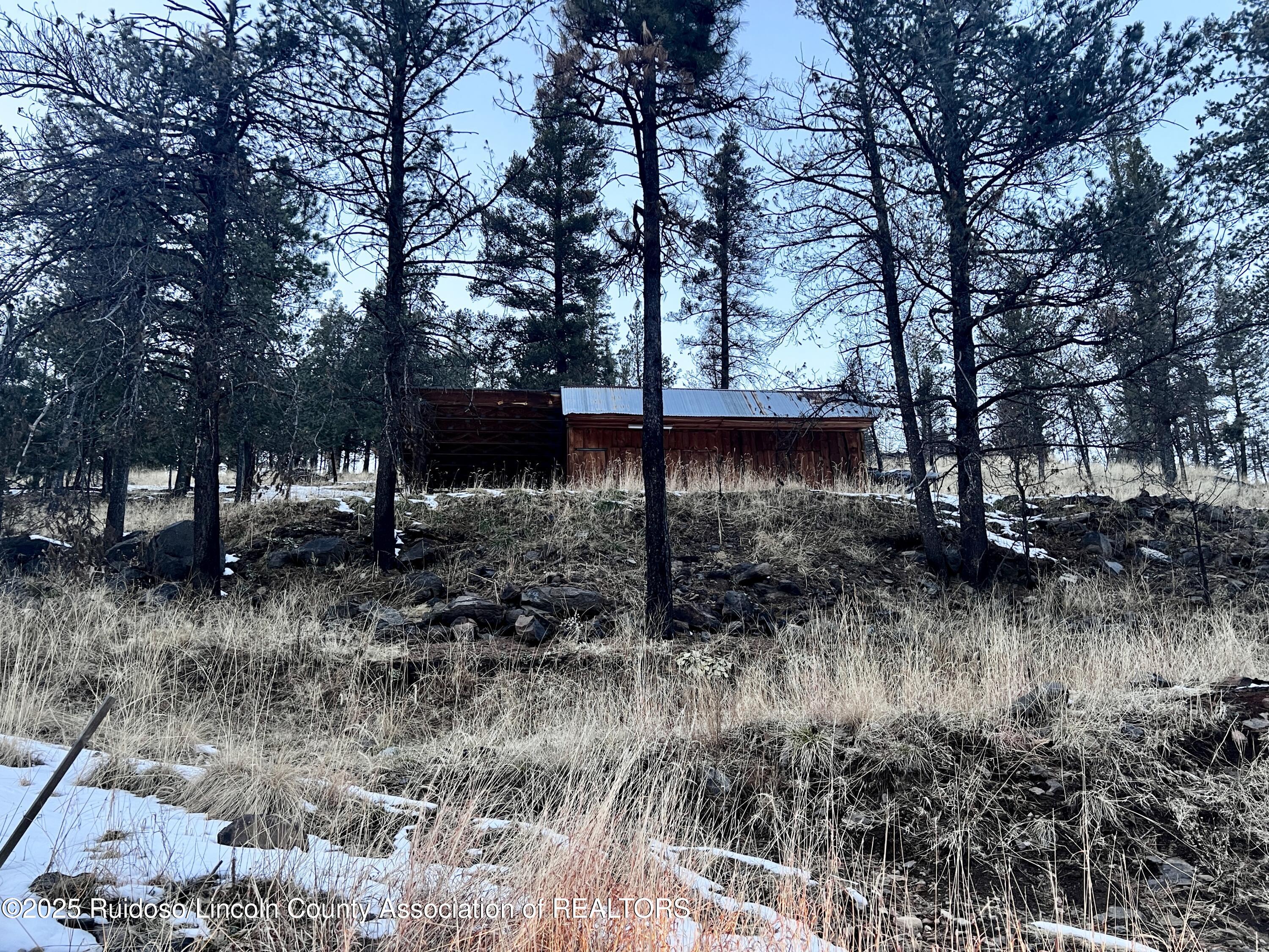 270 Ski Run Road, Alto, New Mexico image 1