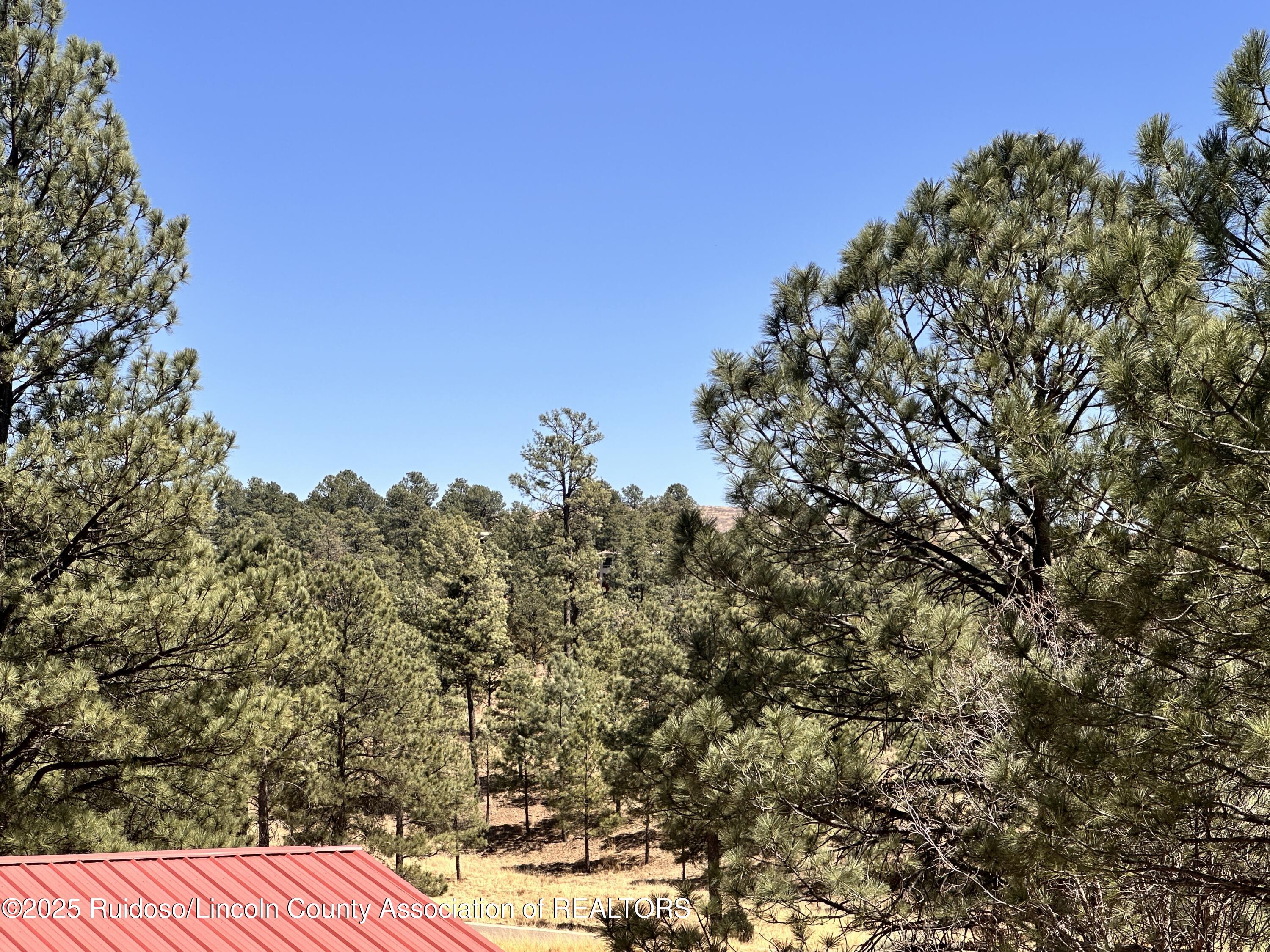 306 Canyon Road, Ruidoso, New Mexico image 4