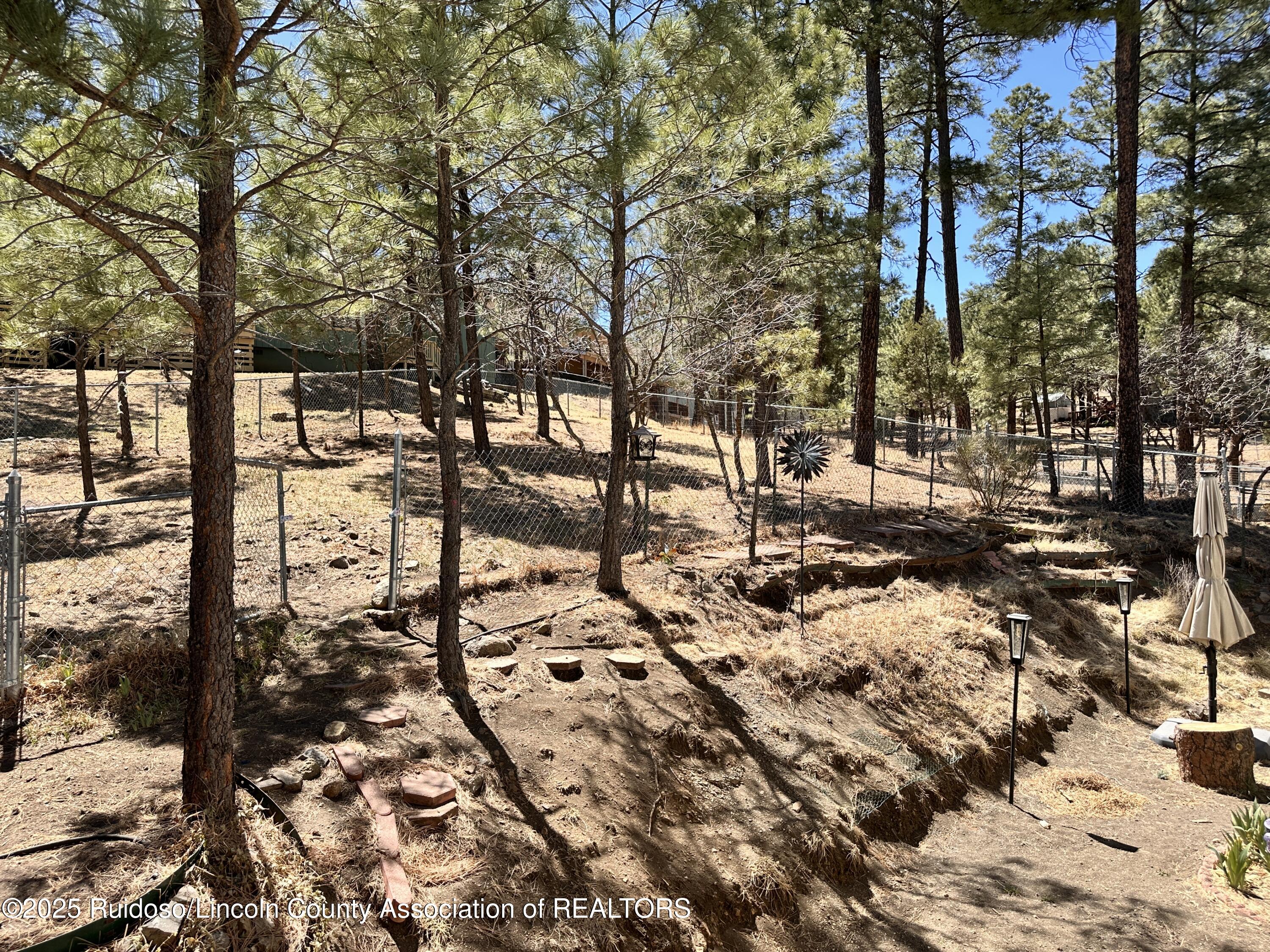 306 Canyon Road, Ruidoso, New Mexico image 22