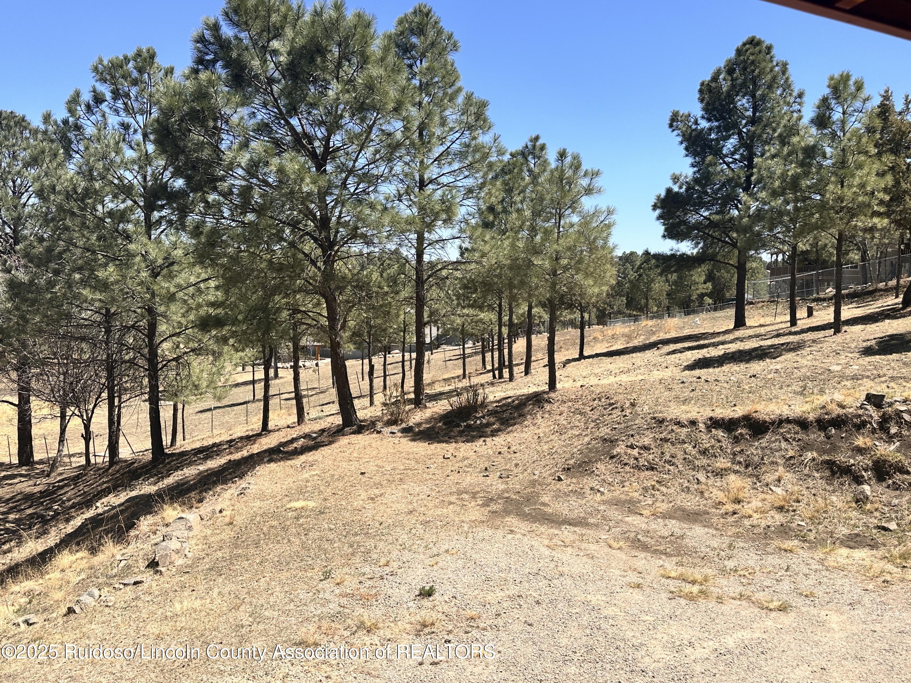 306 Canyon Road, Ruidoso, New Mexico image 5