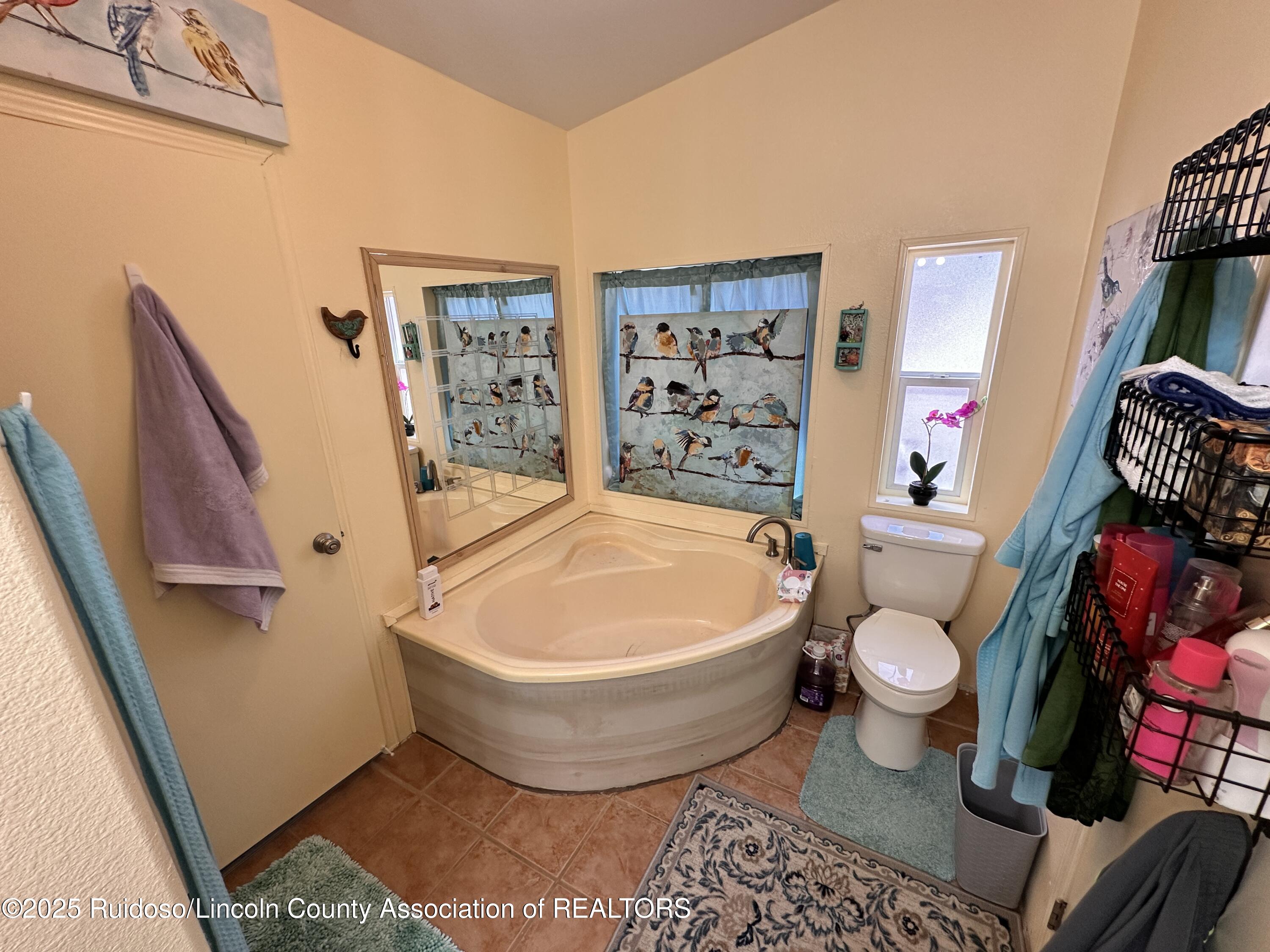 306 Canyon Road, Ruidoso, New Mexico image 16